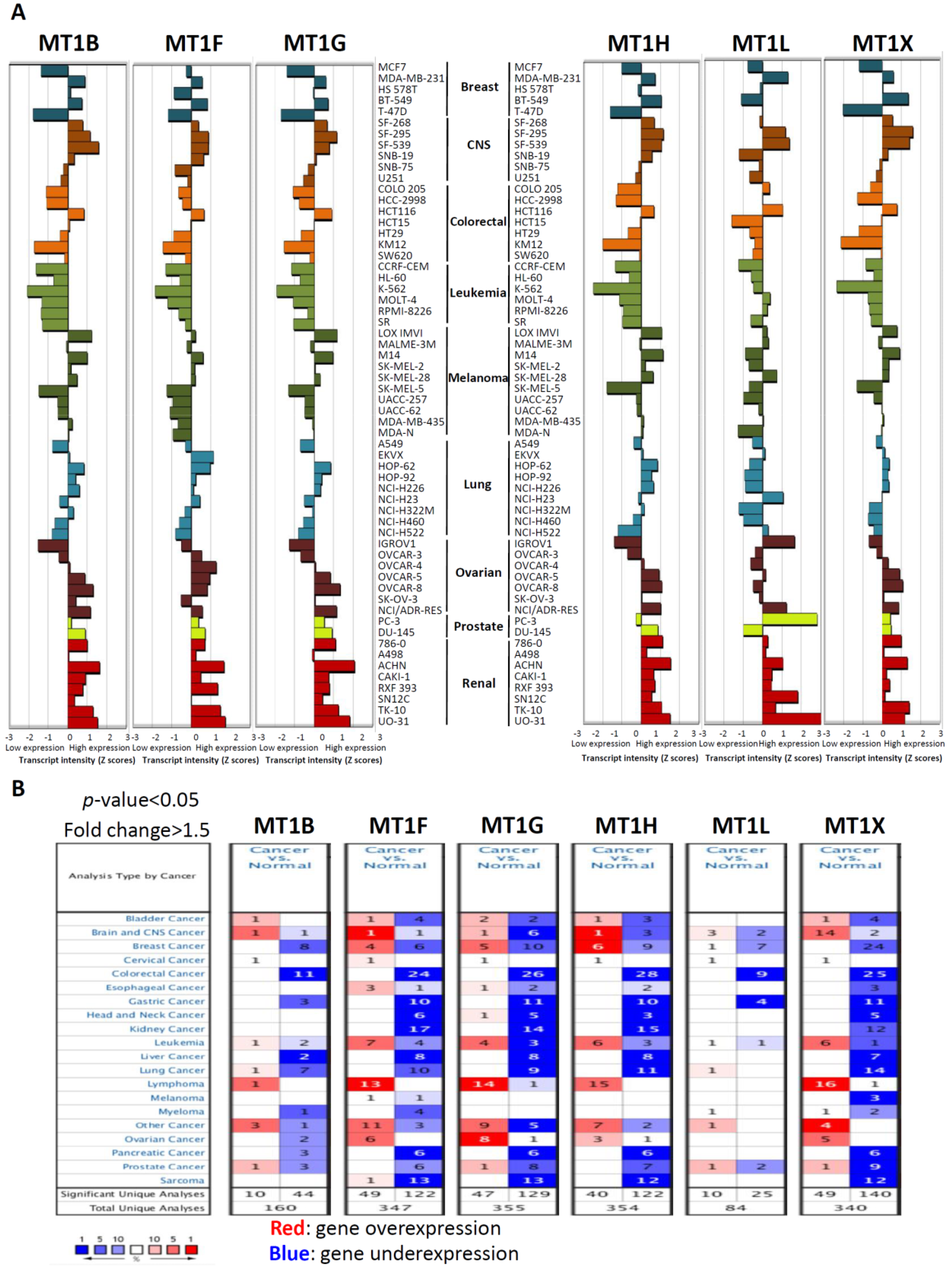 Ijms 20 03849 g001 Ijms 20 03849 g001