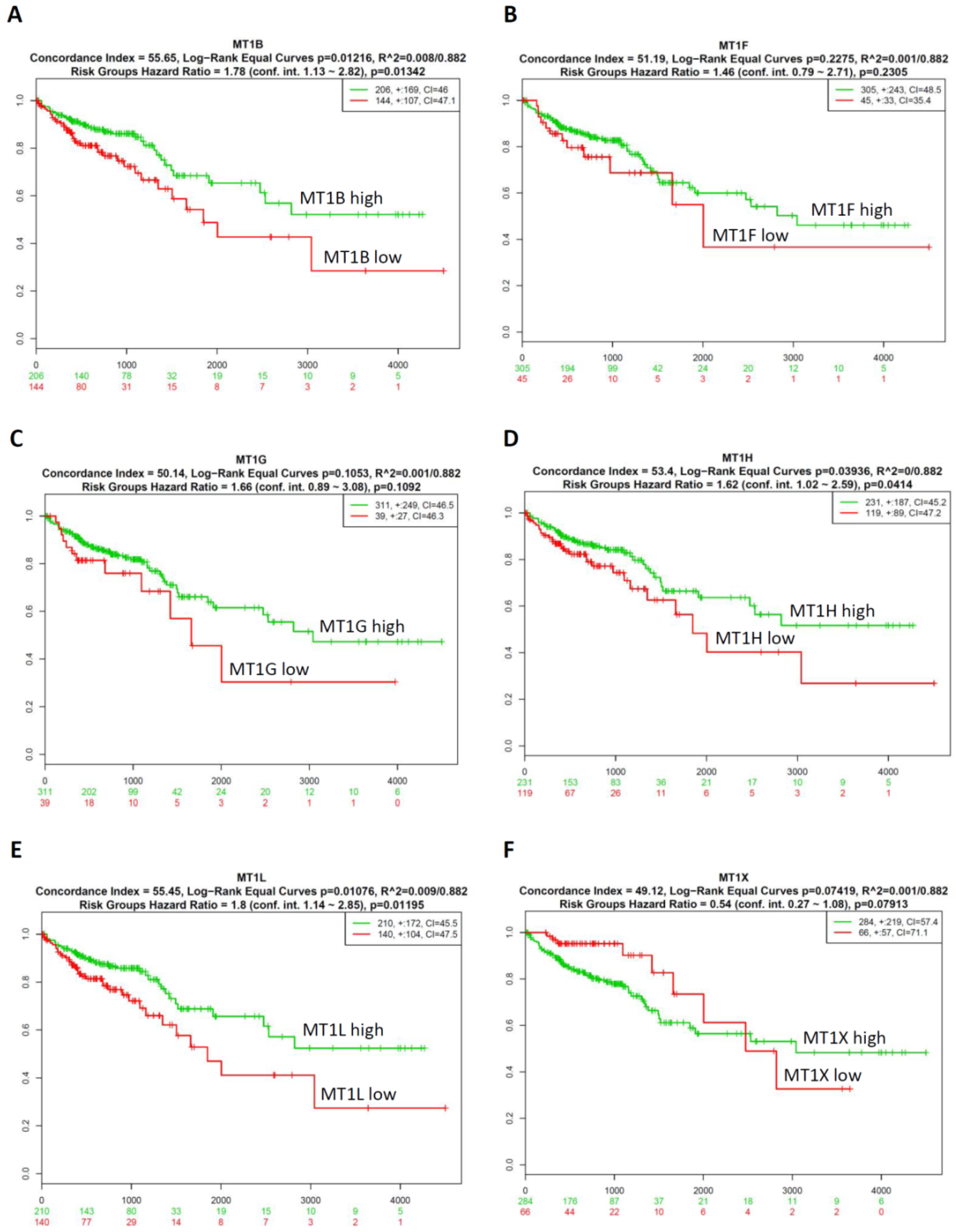 Ijms 20 03849 g004 Ijms 20 03849 g004