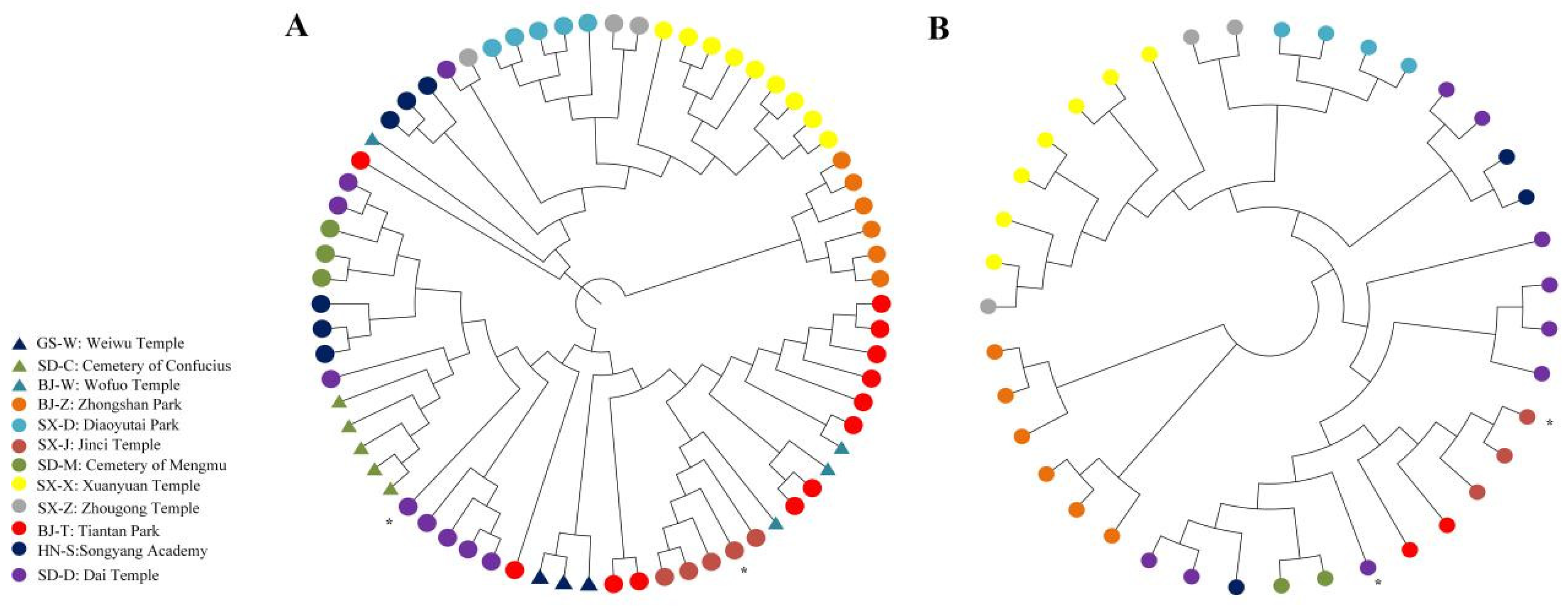 Ijms Free Full Text Exploring The Phylogeography Of Ancient Platycladus Orientalis In China By Specific Locus Amplified Fragment Sequencing Html