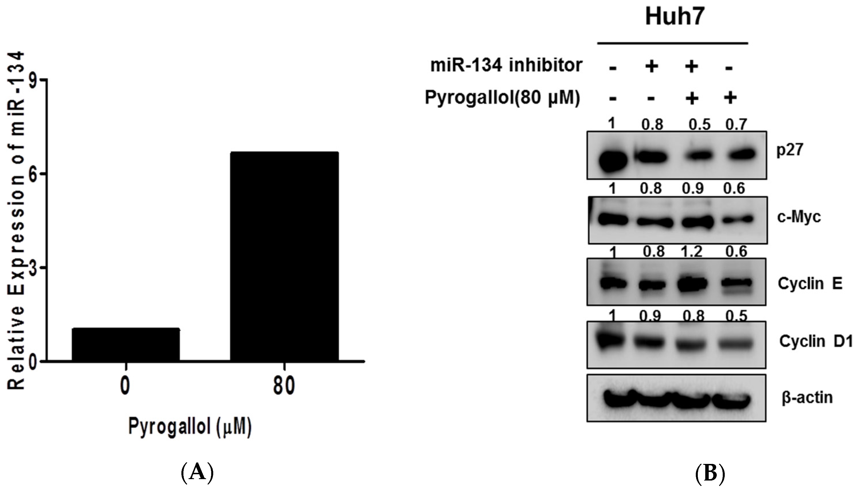 Ijms 20 03985 g006 Ijms 20 03985 g006