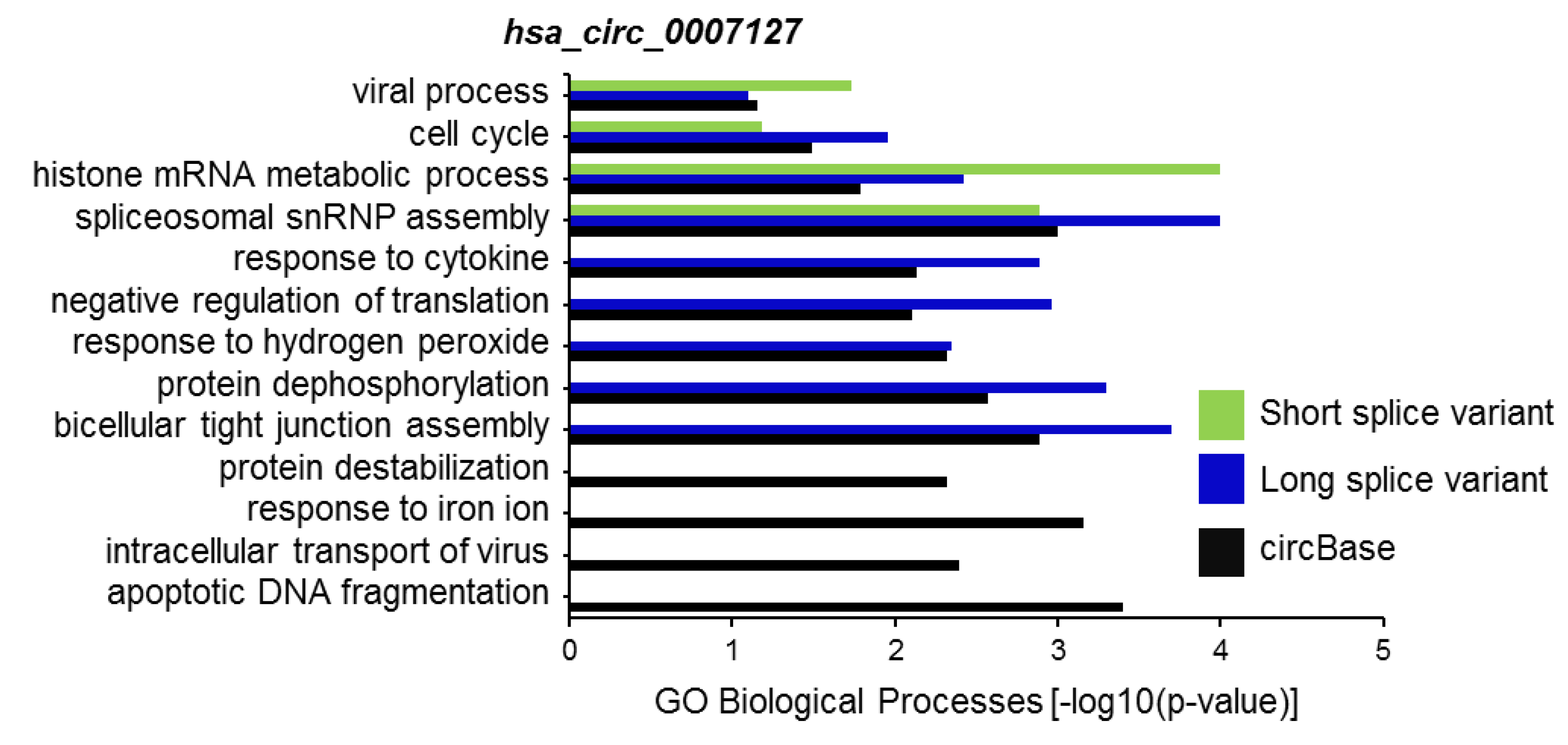 Ijms 20 03988 g005 Ijms 20 03988 g005