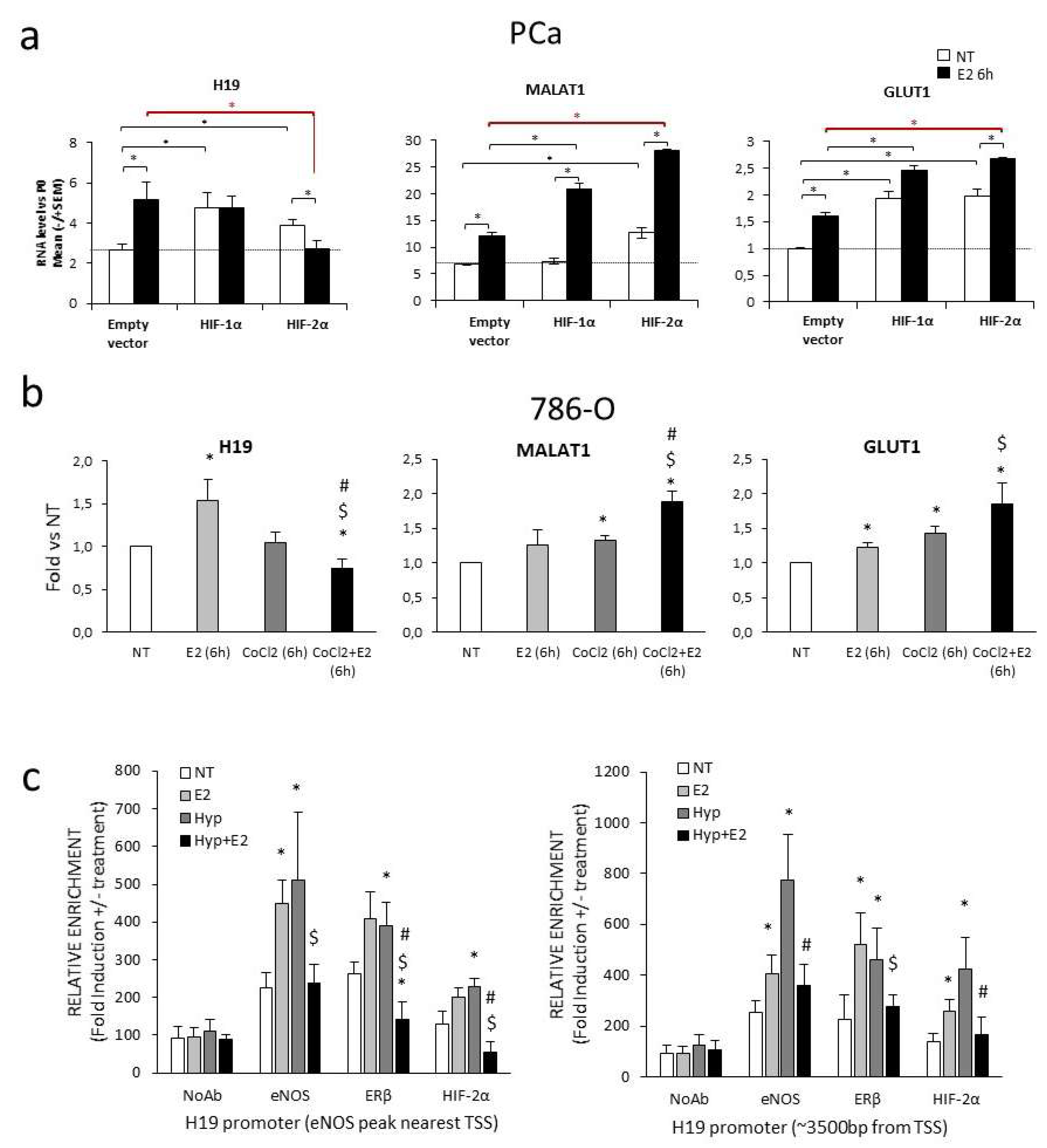 Ijms 20 04012 g002 Ijms 20 04012 g002