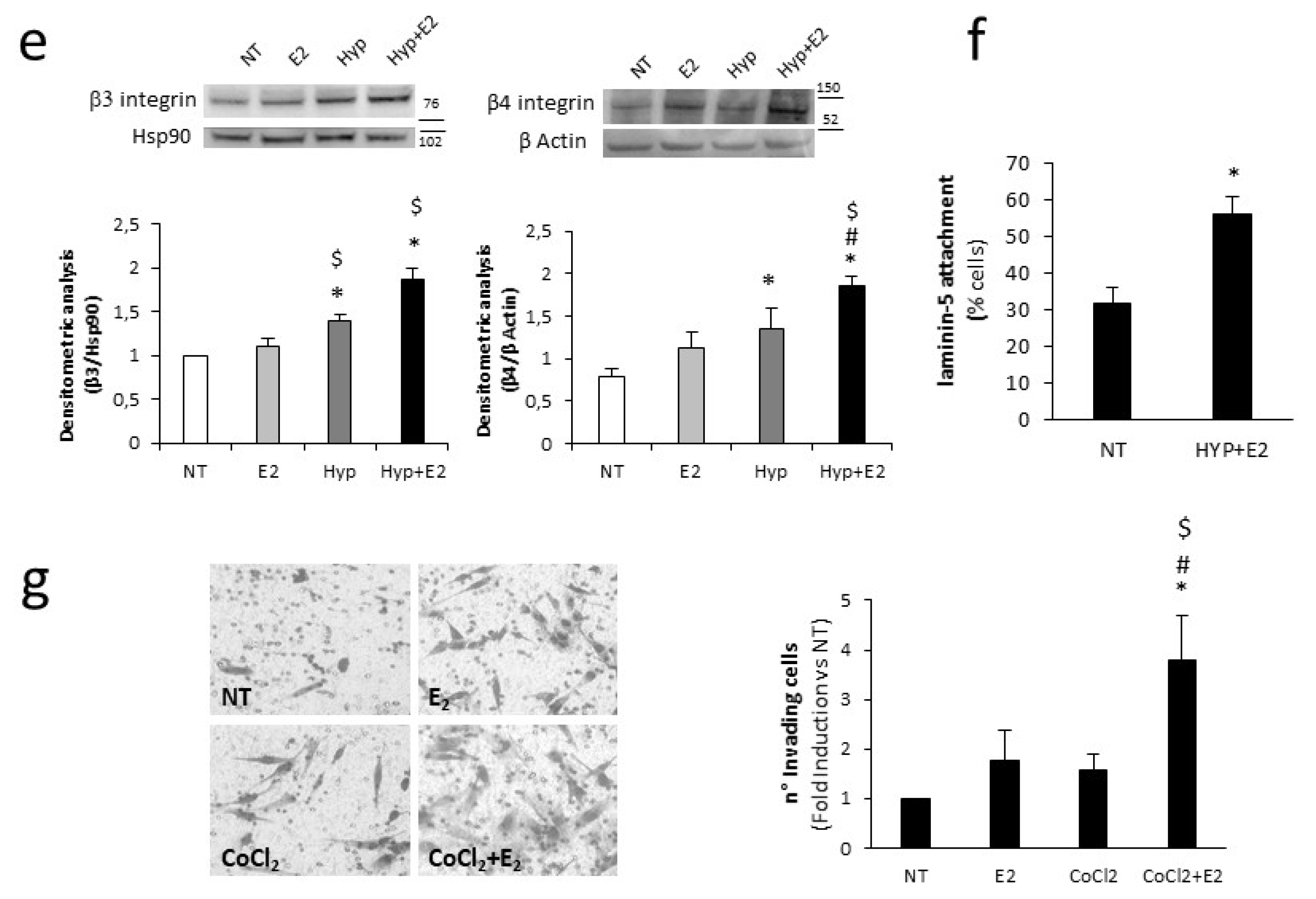 Ijms 20 04012 g003b Ijms 20 04012 g003b