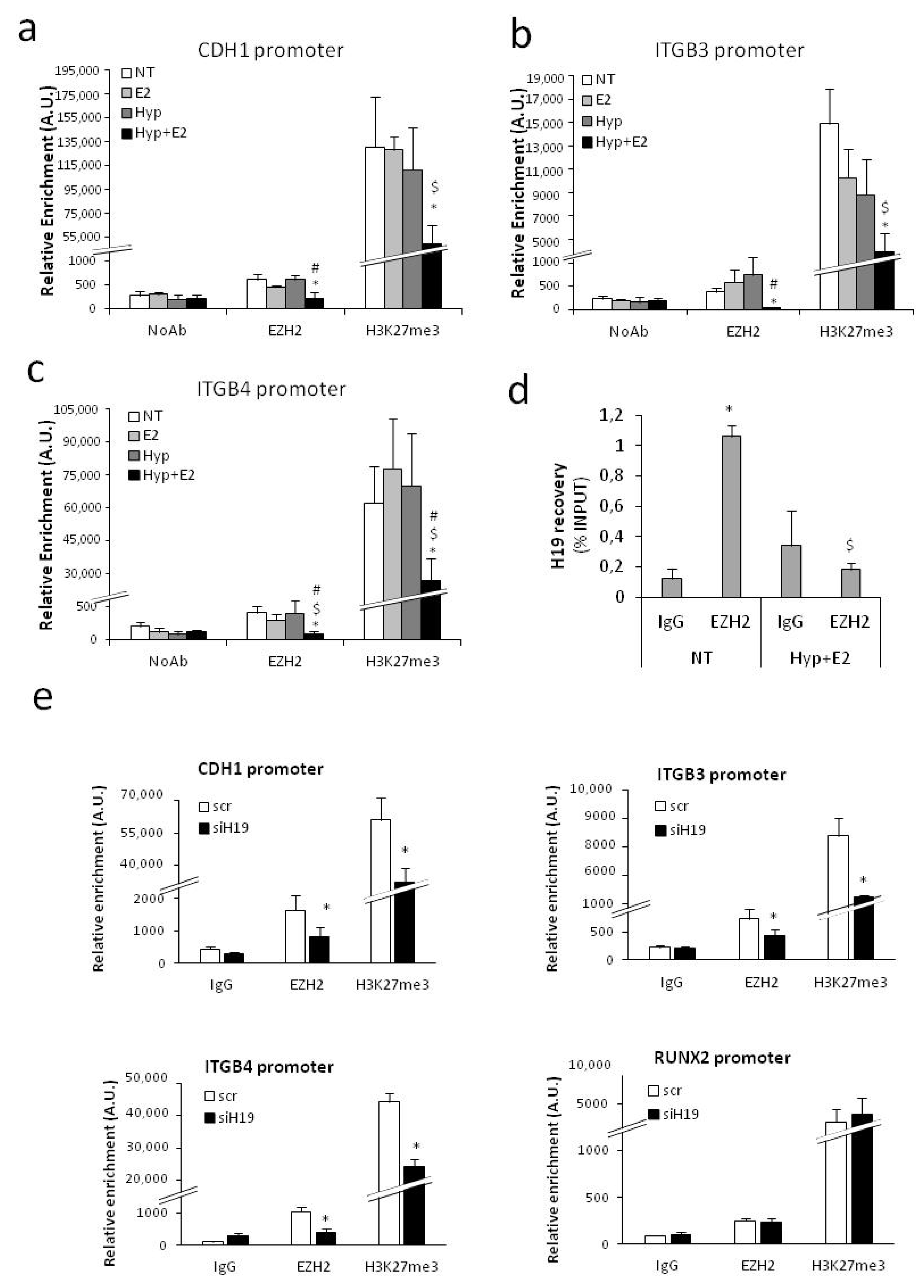 Ijms 20 04012 g005 Ijms 20 04012 g005