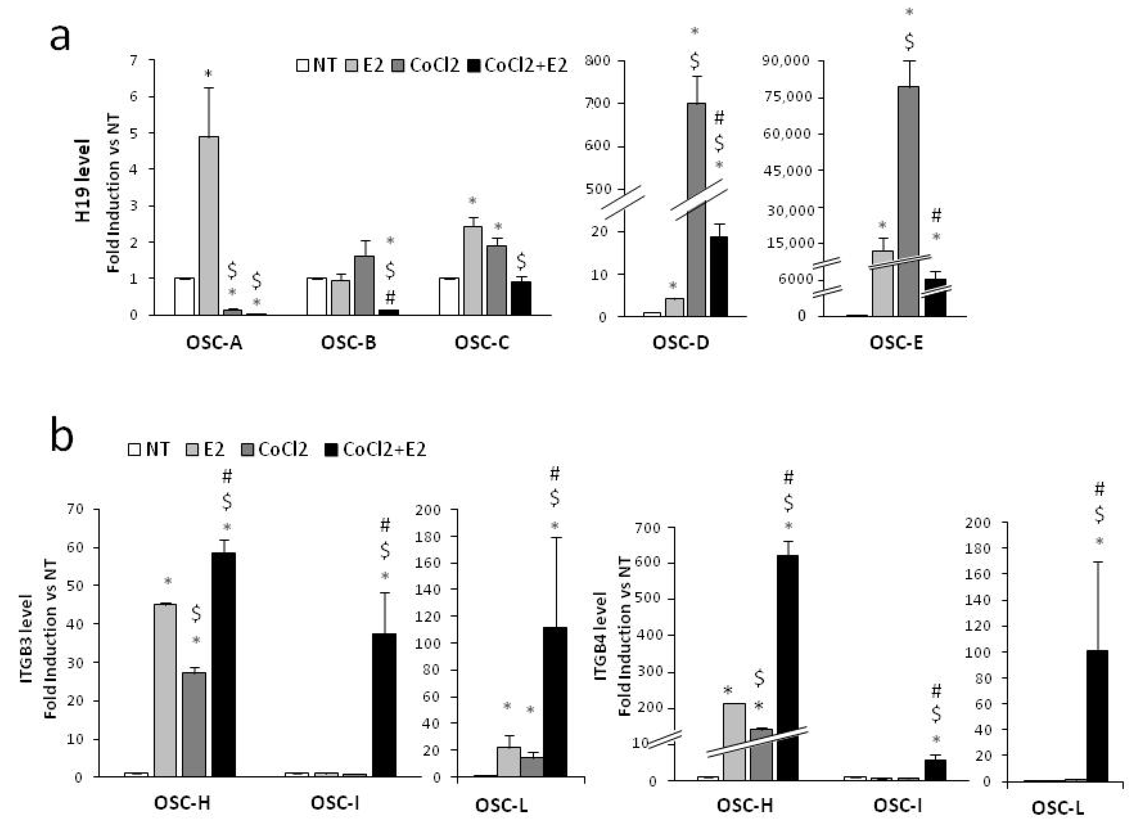 Ijms 20 04012 g006 Ijms 20 04012 g006