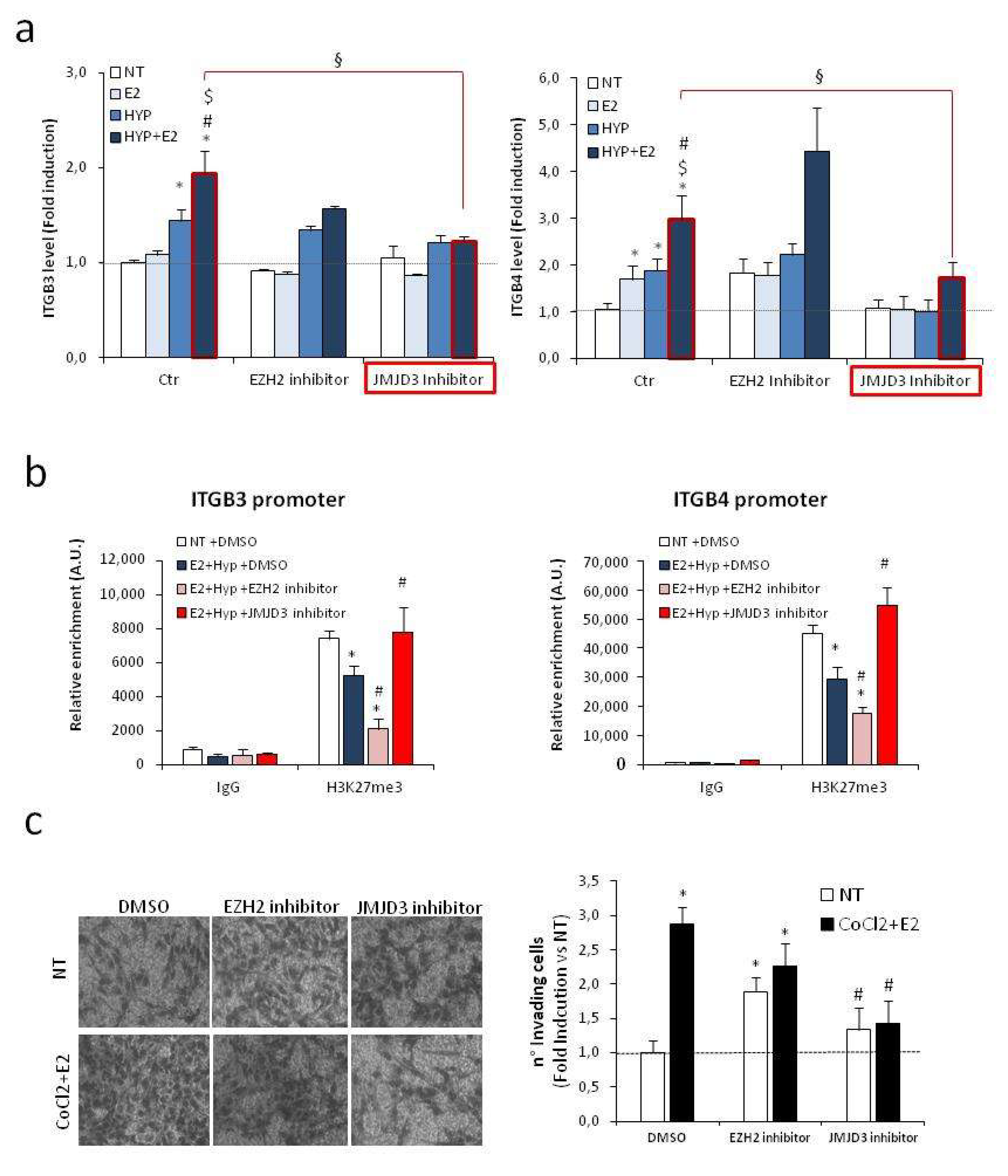 Ijms 20 04012 g007 Ijms 20 04012 g007