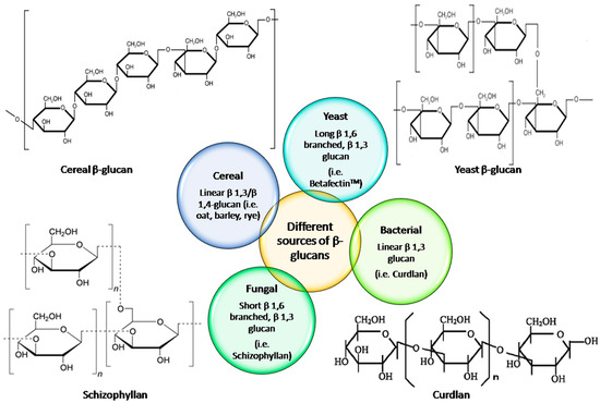 Ijms Free Full Text A Concise Review On The Molecular Structure And Function Relationship Of B Glucan Html