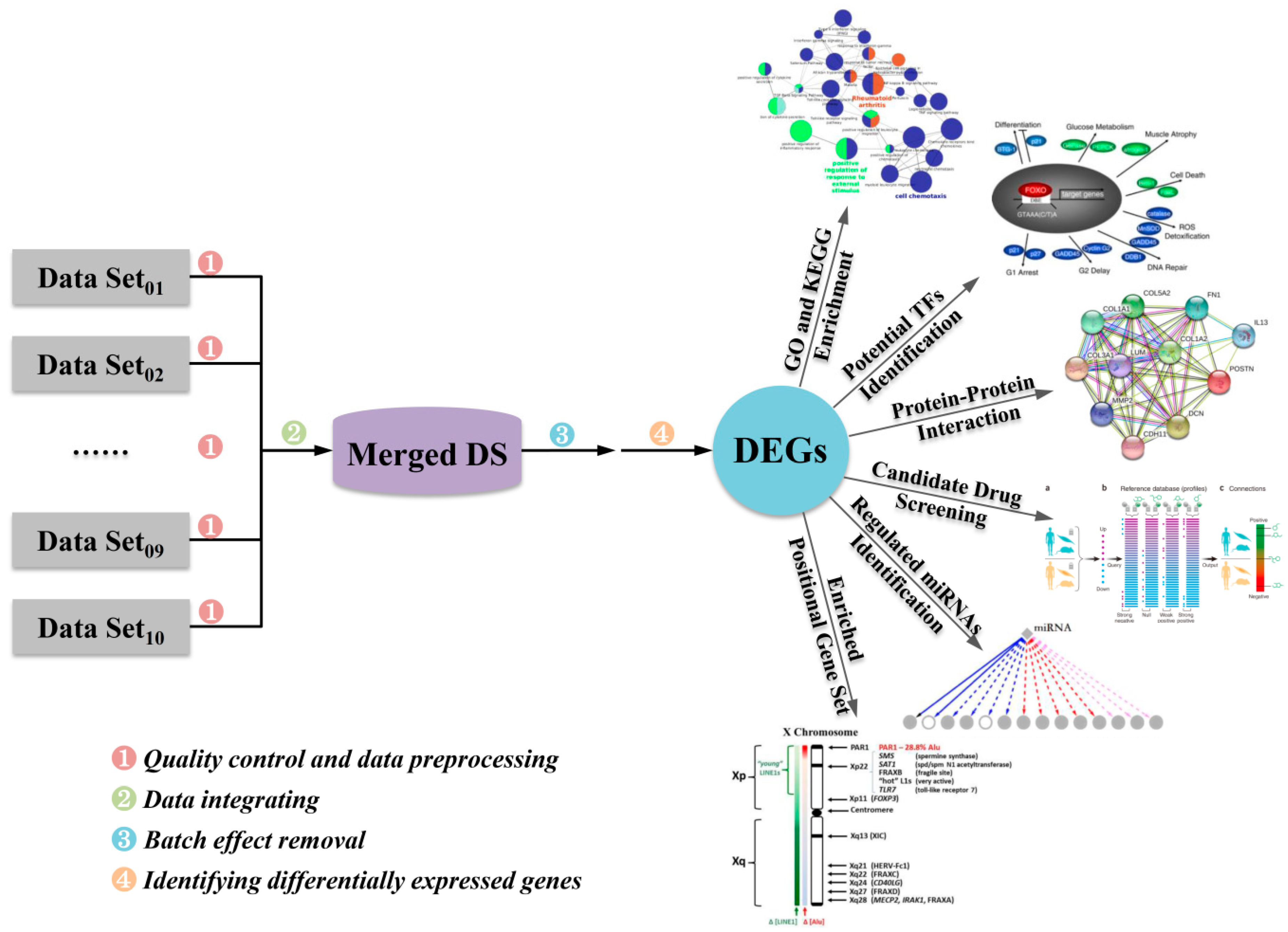 Ijms 20 04037 g001 Ijms 20 04037 g001