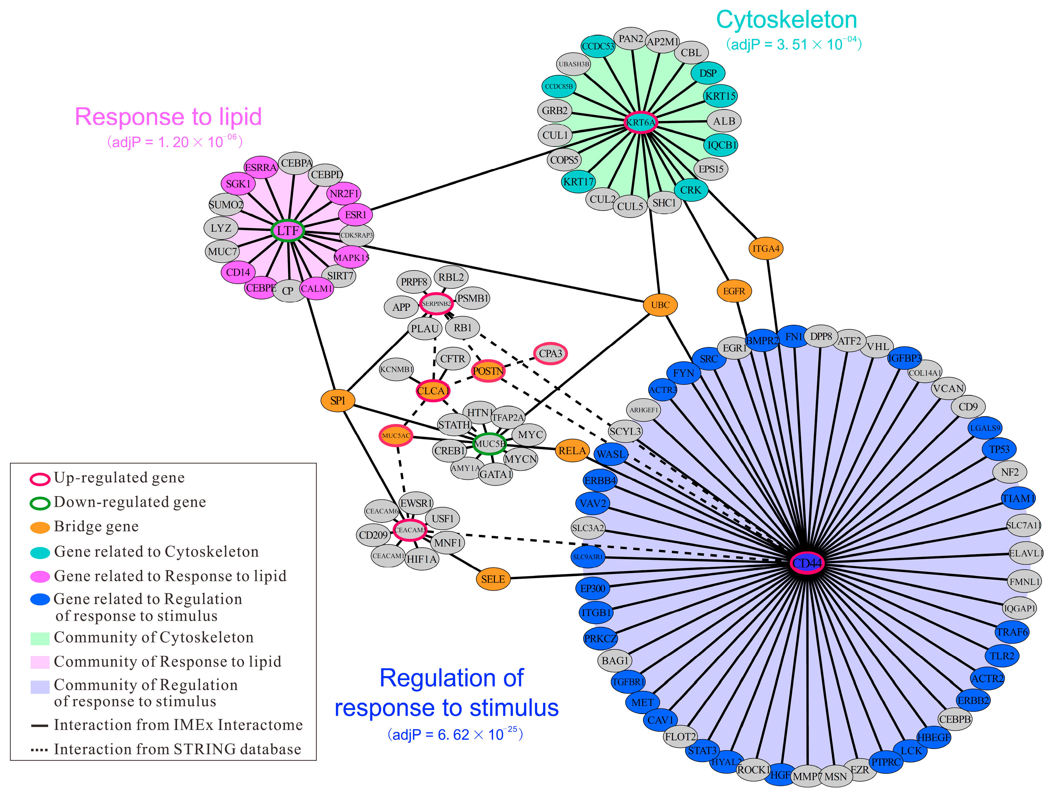 Ijms 20 04037 g006 Ijms 20 04037 g006