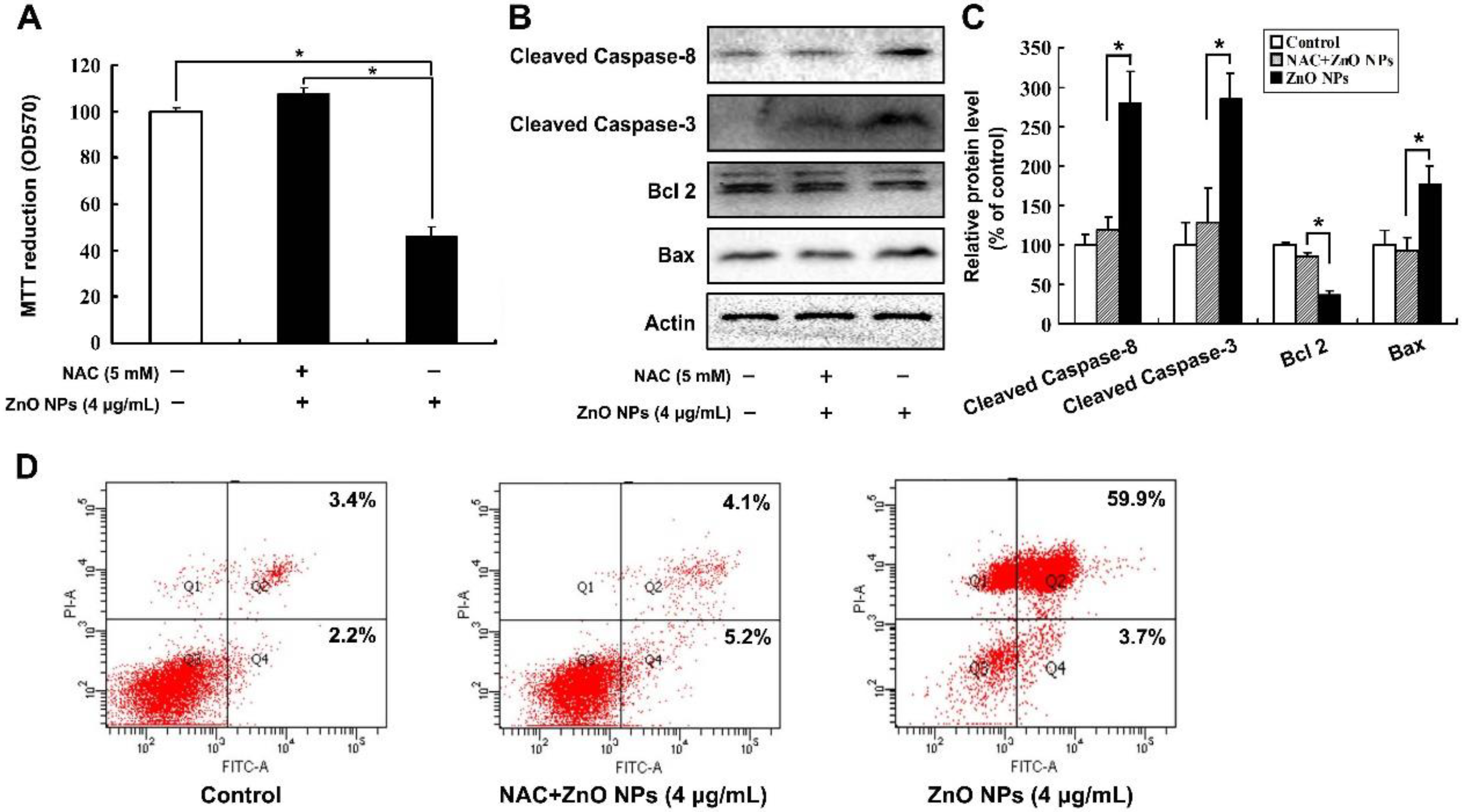 Ijms 20 04042 g004 Ijms 20 04042 g004