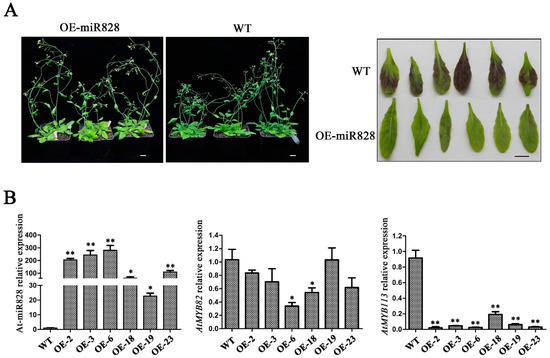 Ijms August 2 2019 Browse Articles