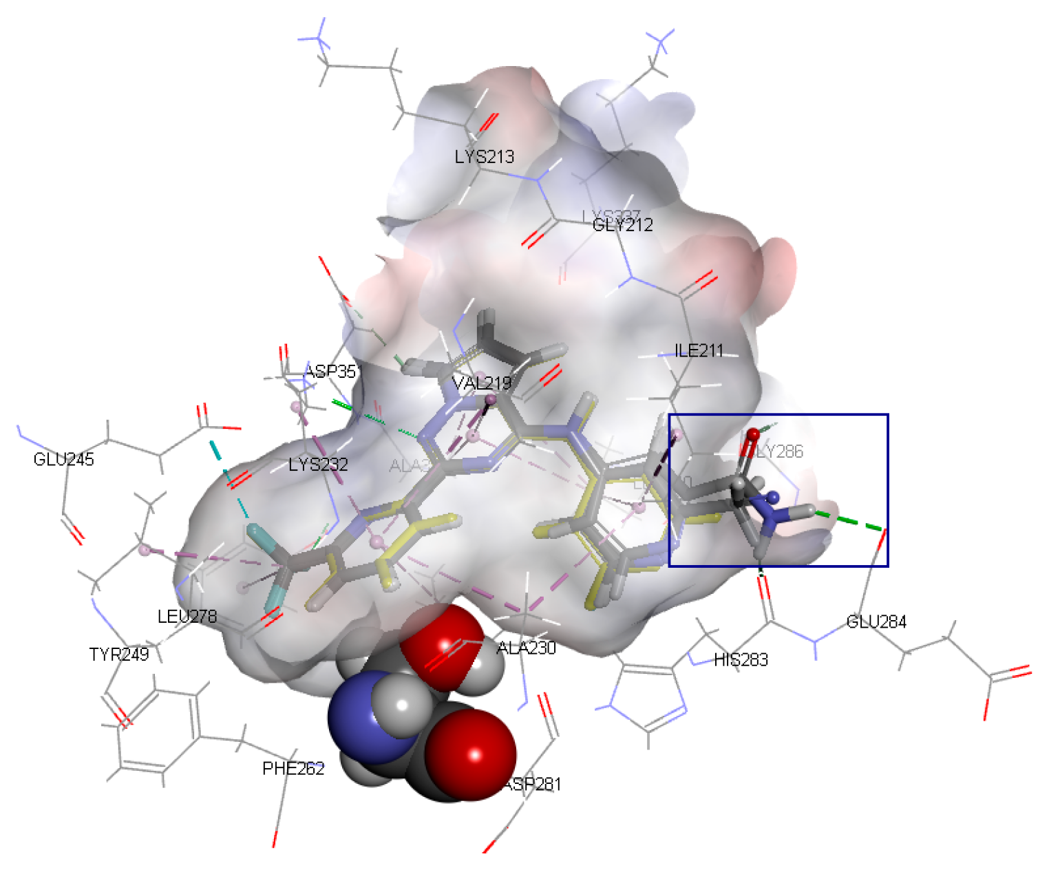 IJMS | Free Full-Text | Discovery of New Inhibitors of 