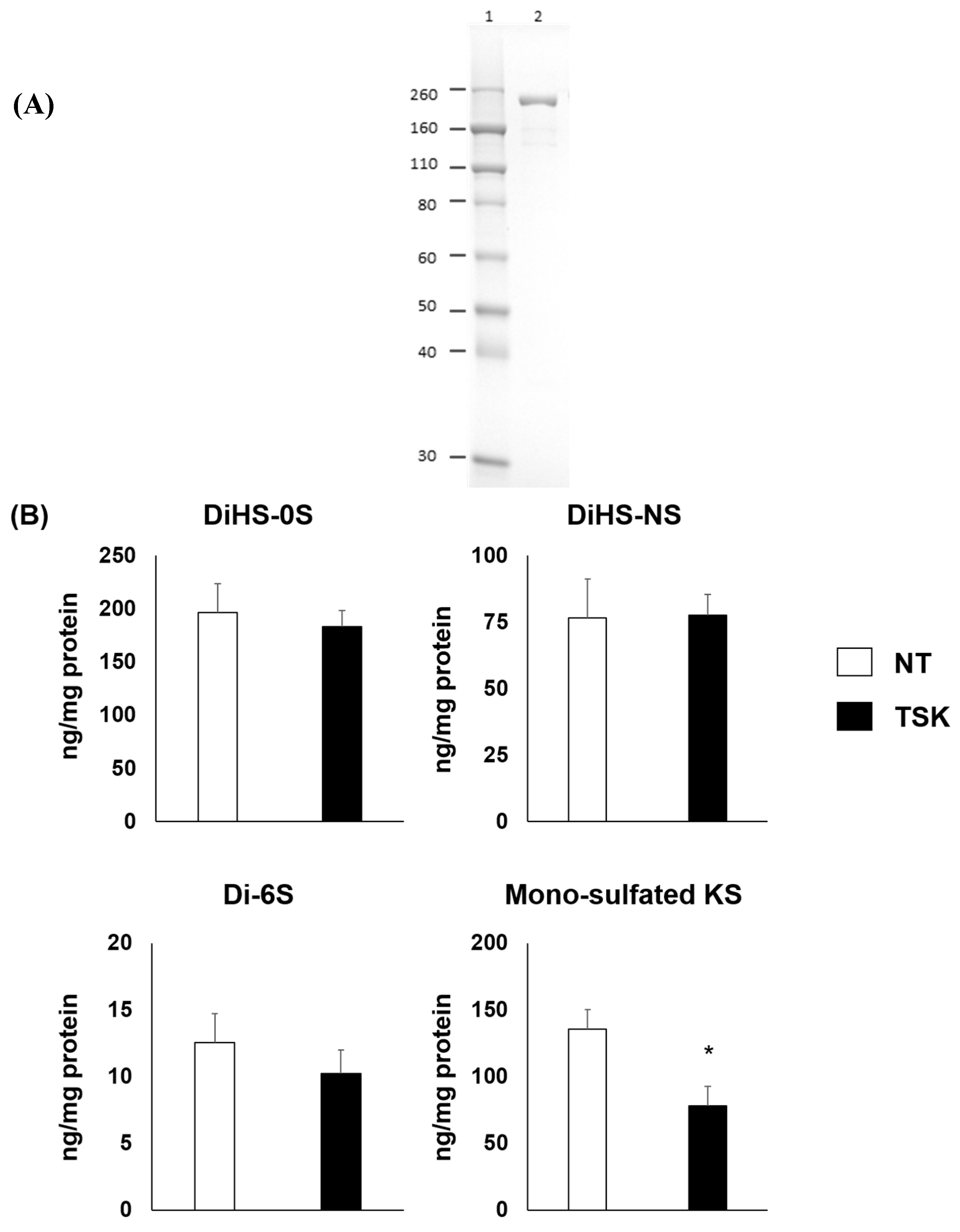 Ijms 20 04139 g001 Ijms 20 04139 g001