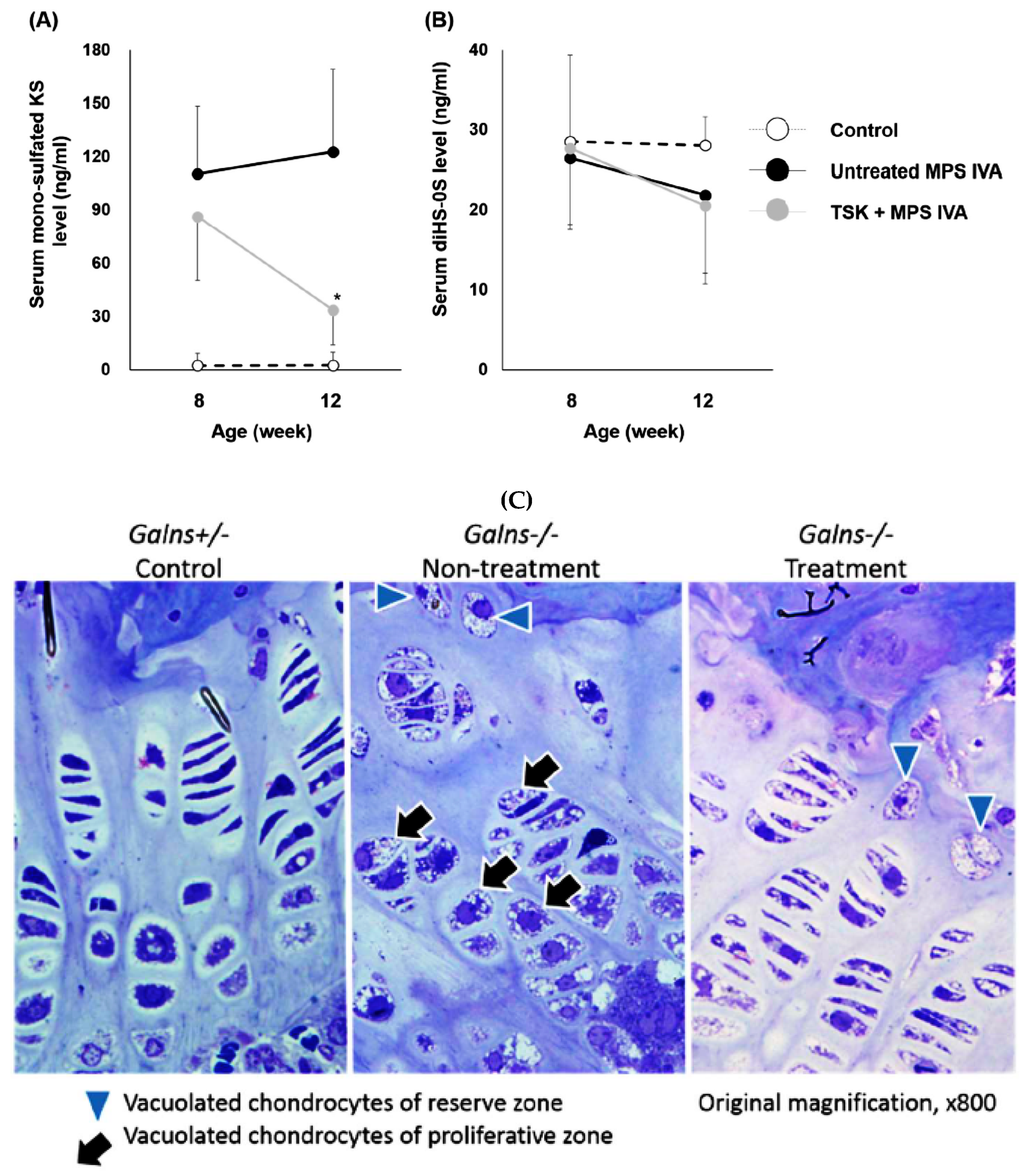 Ijms 20 04139 g003 Ijms 20 04139 g003