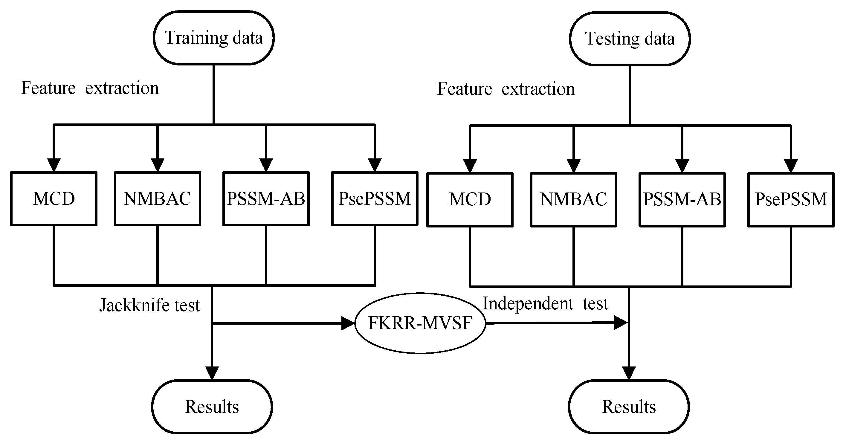 Ijms 20 04175 g003 Ijms 20 04175 g003