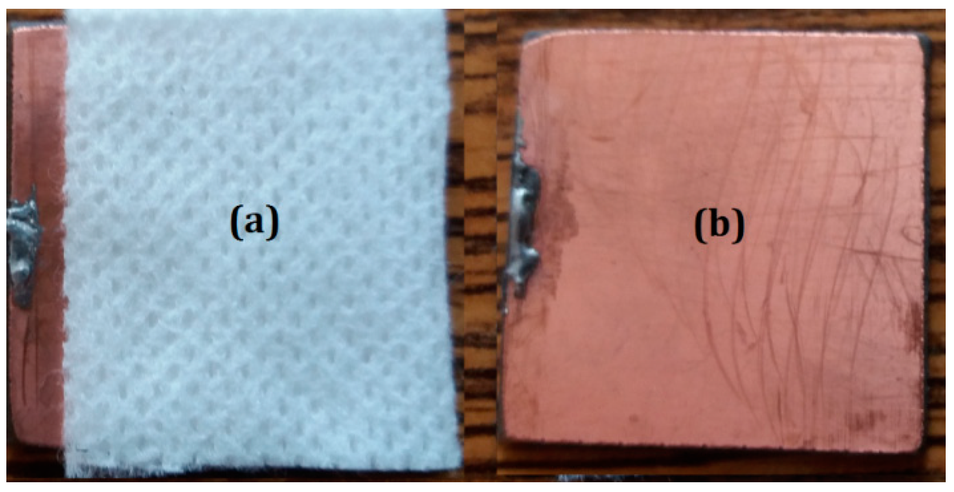 Ijms 20 04201 g005 Ijms 20 04201 g005