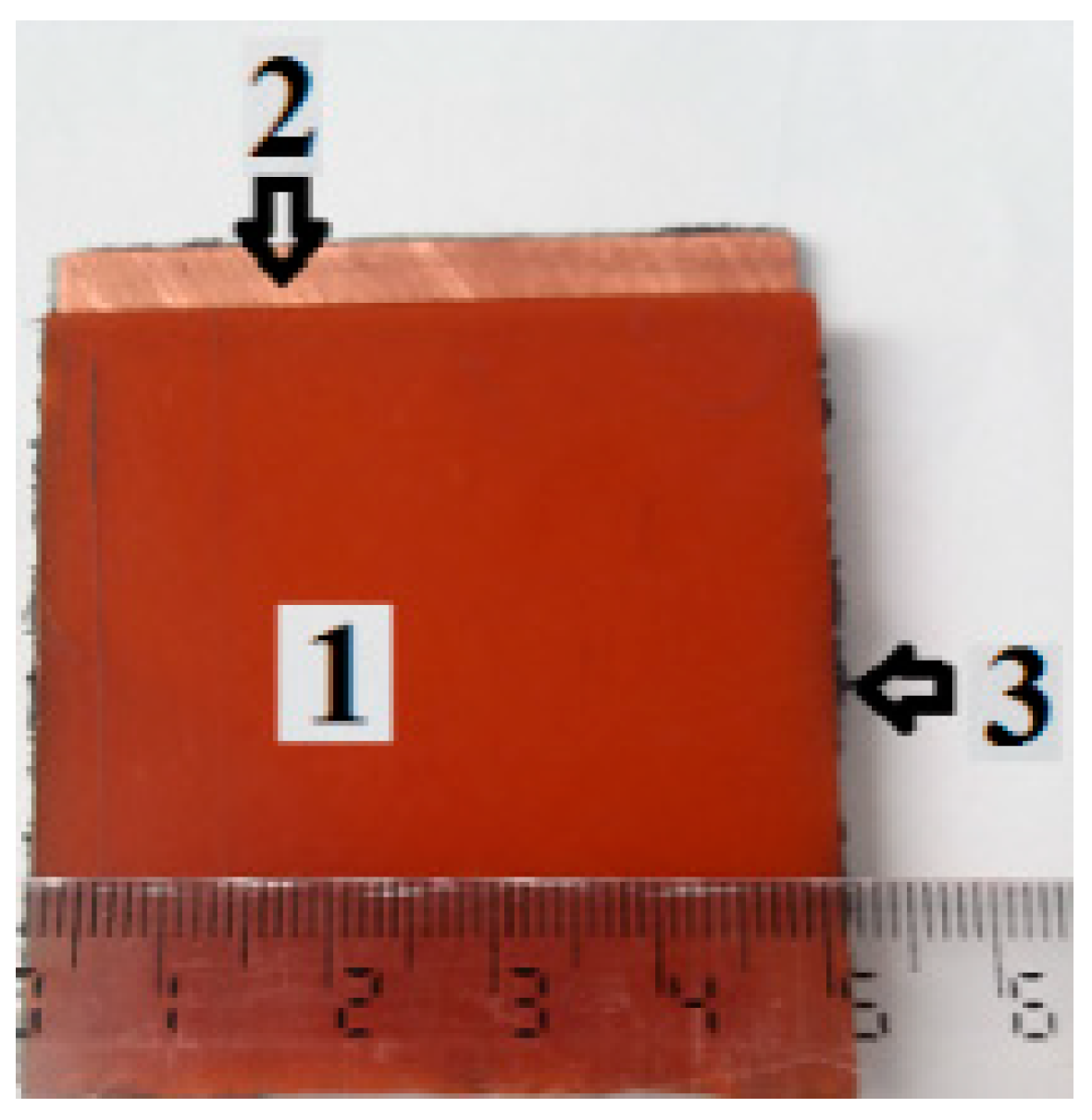 Ijms 20 04201 g006 Ijms 20 04201 g006