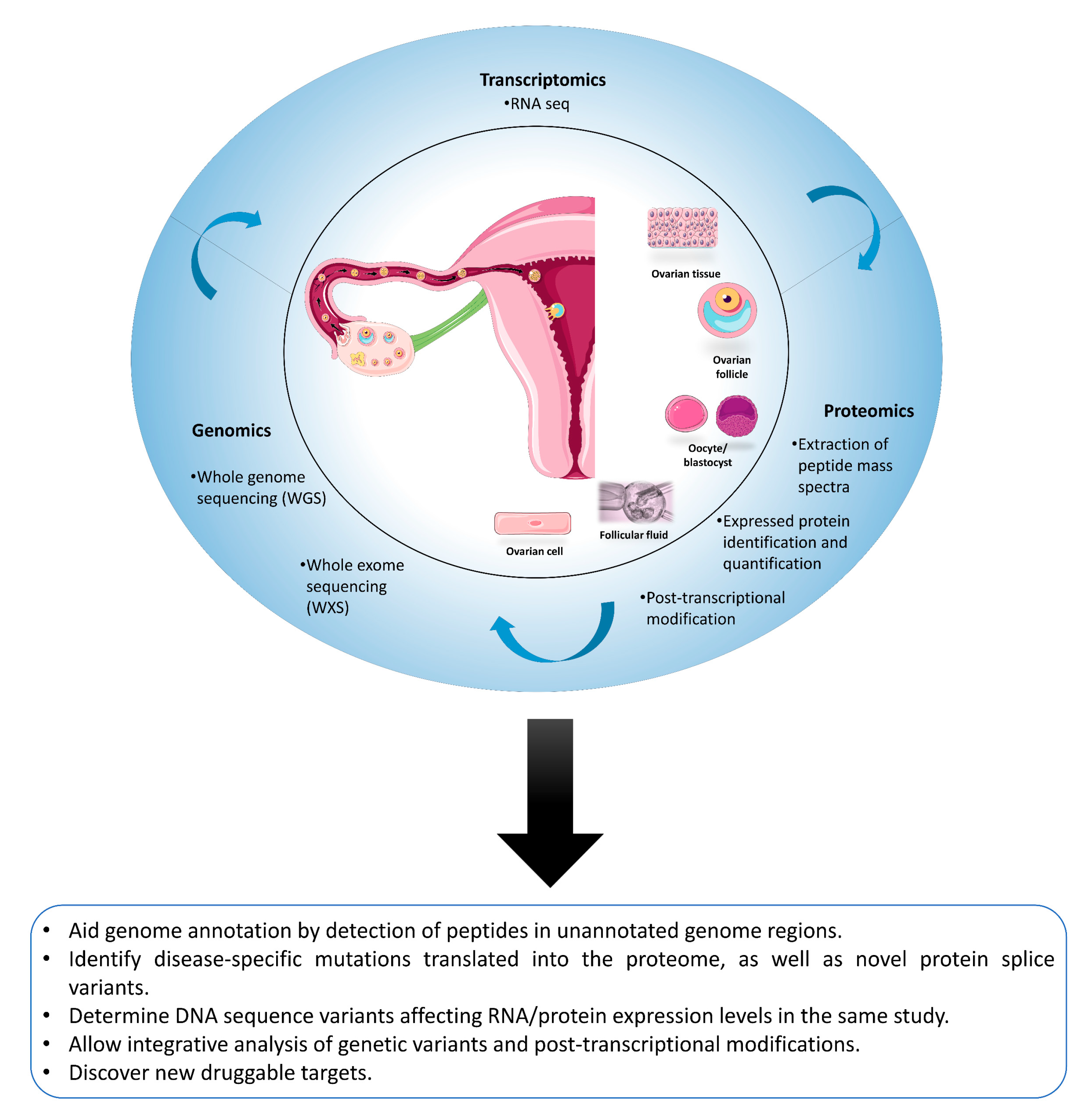 Ijms 20 04209 g003 Ijms 20 04209 g003