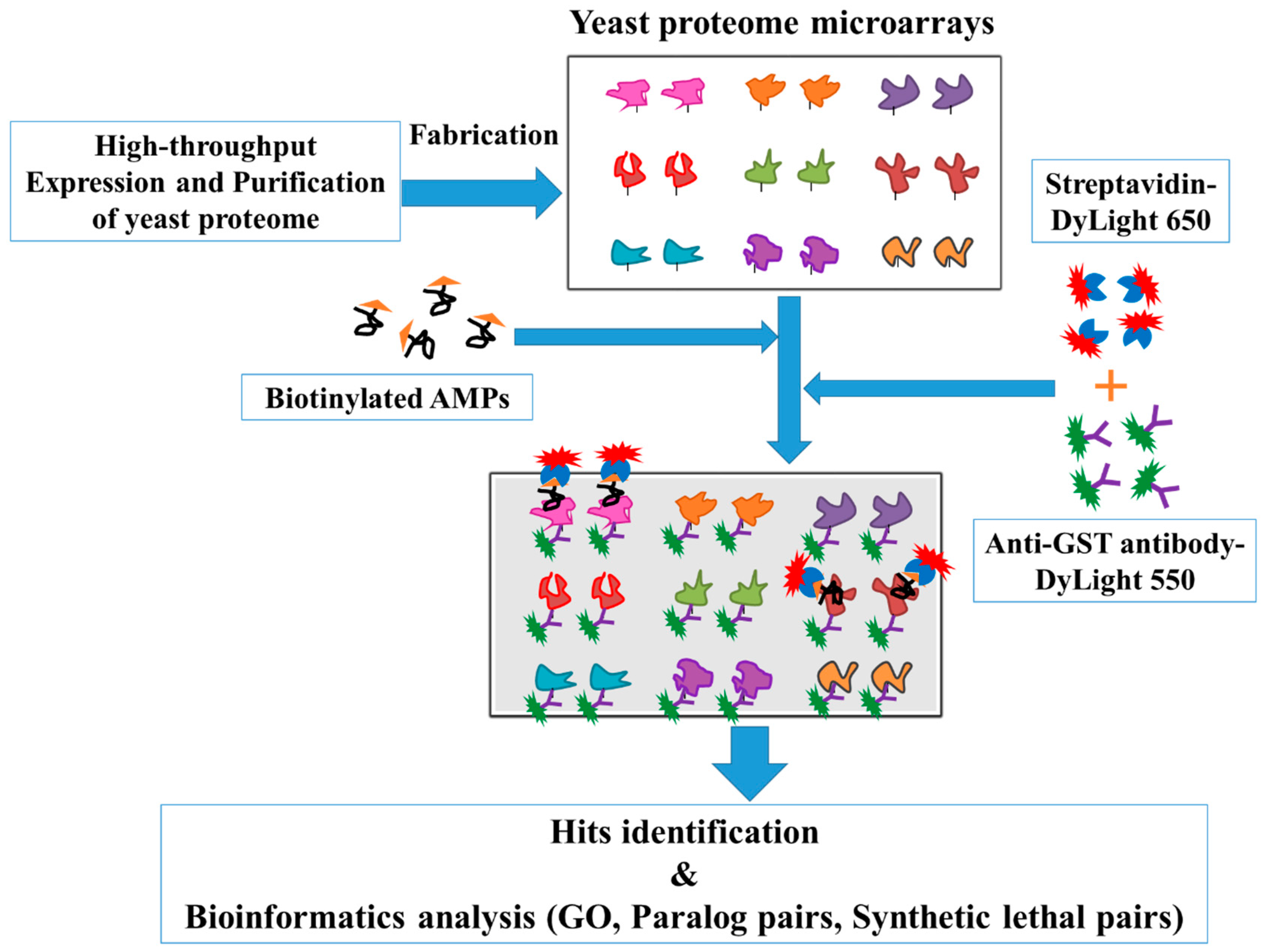 Ijms 20 04218 g001 Ijms 20 04218 g001