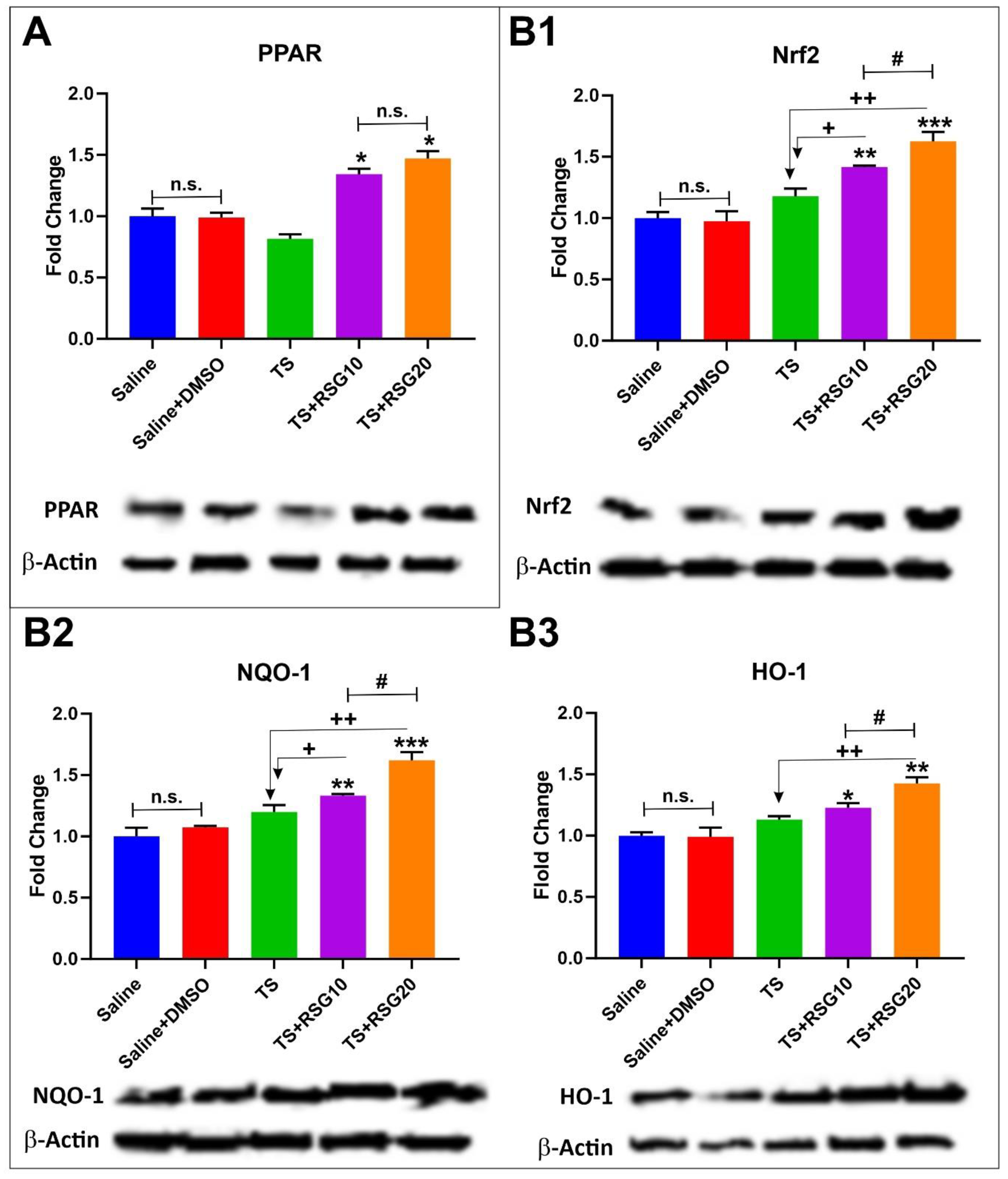Ijms 20 04225 g003 Ijms 20 04225 g003