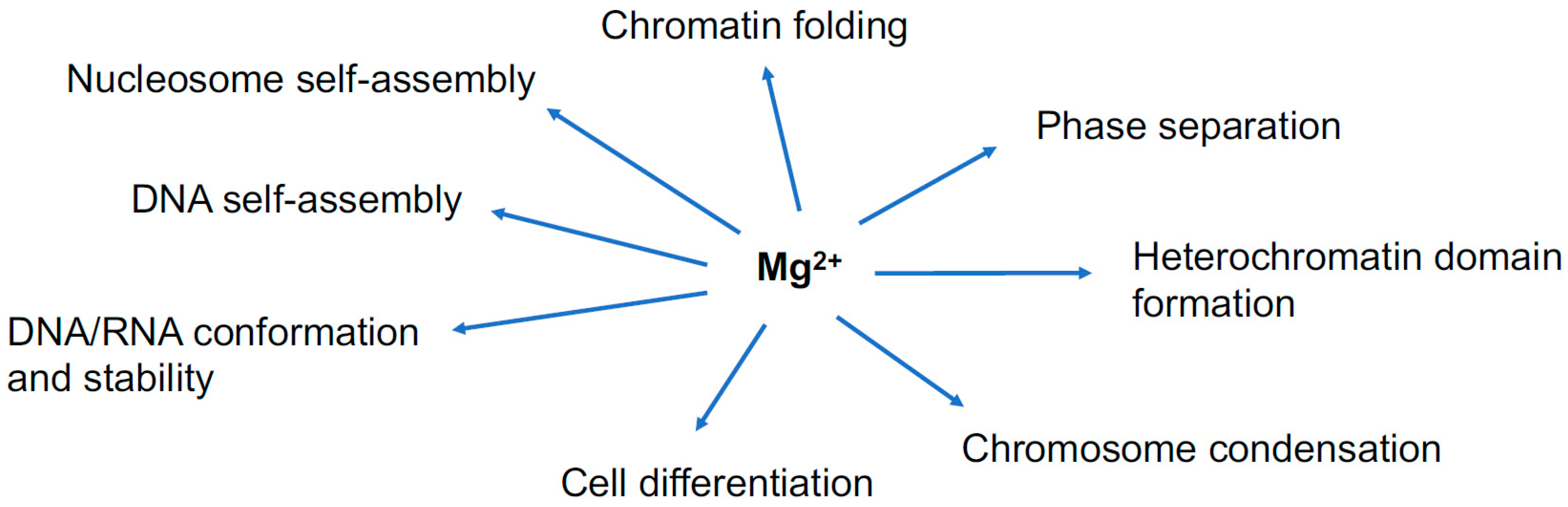 Ijms 20 04232 g001 Ijms 20 04232 g001