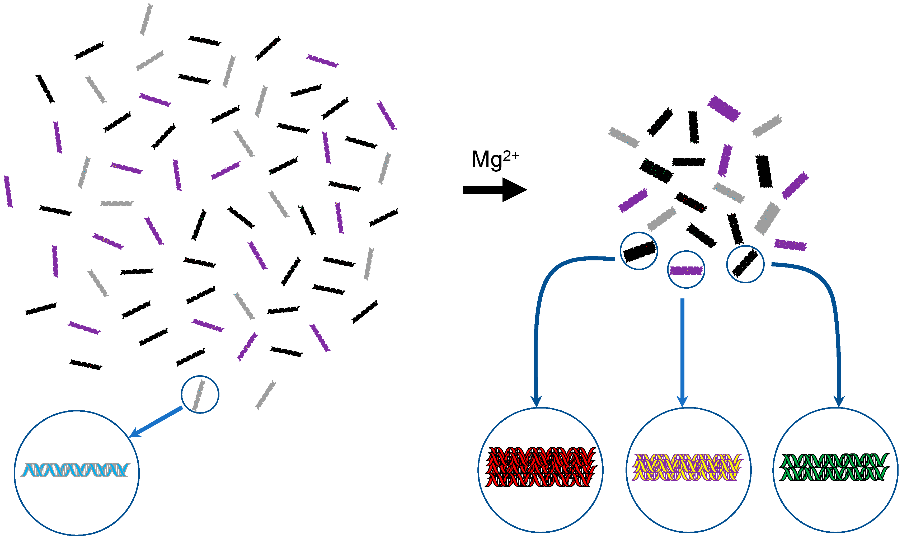 Ijms 20 04232 g002 Ijms 20 04232 g002