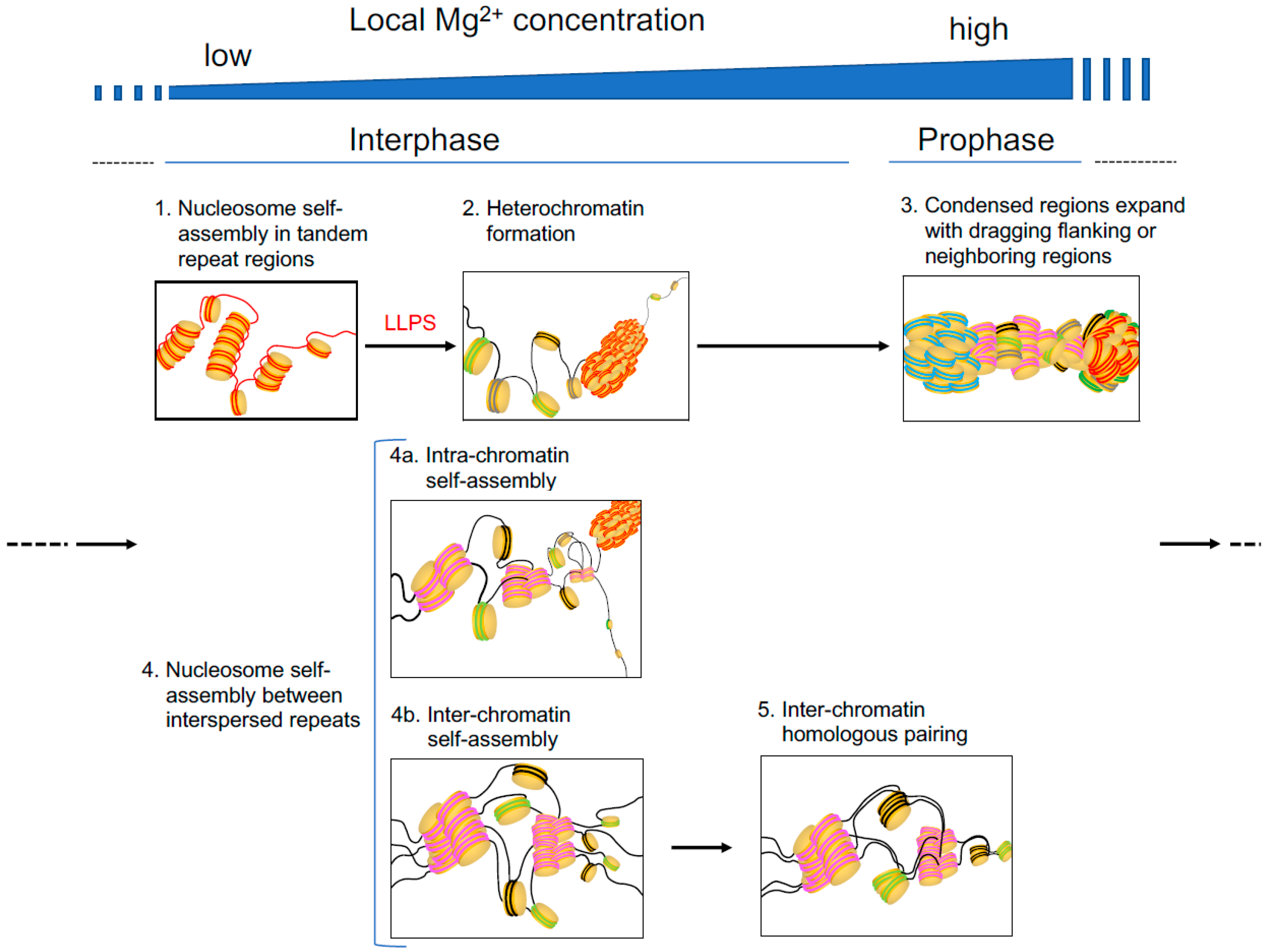 Ijms 20 04232 g003 Ijms 20 04232 g003