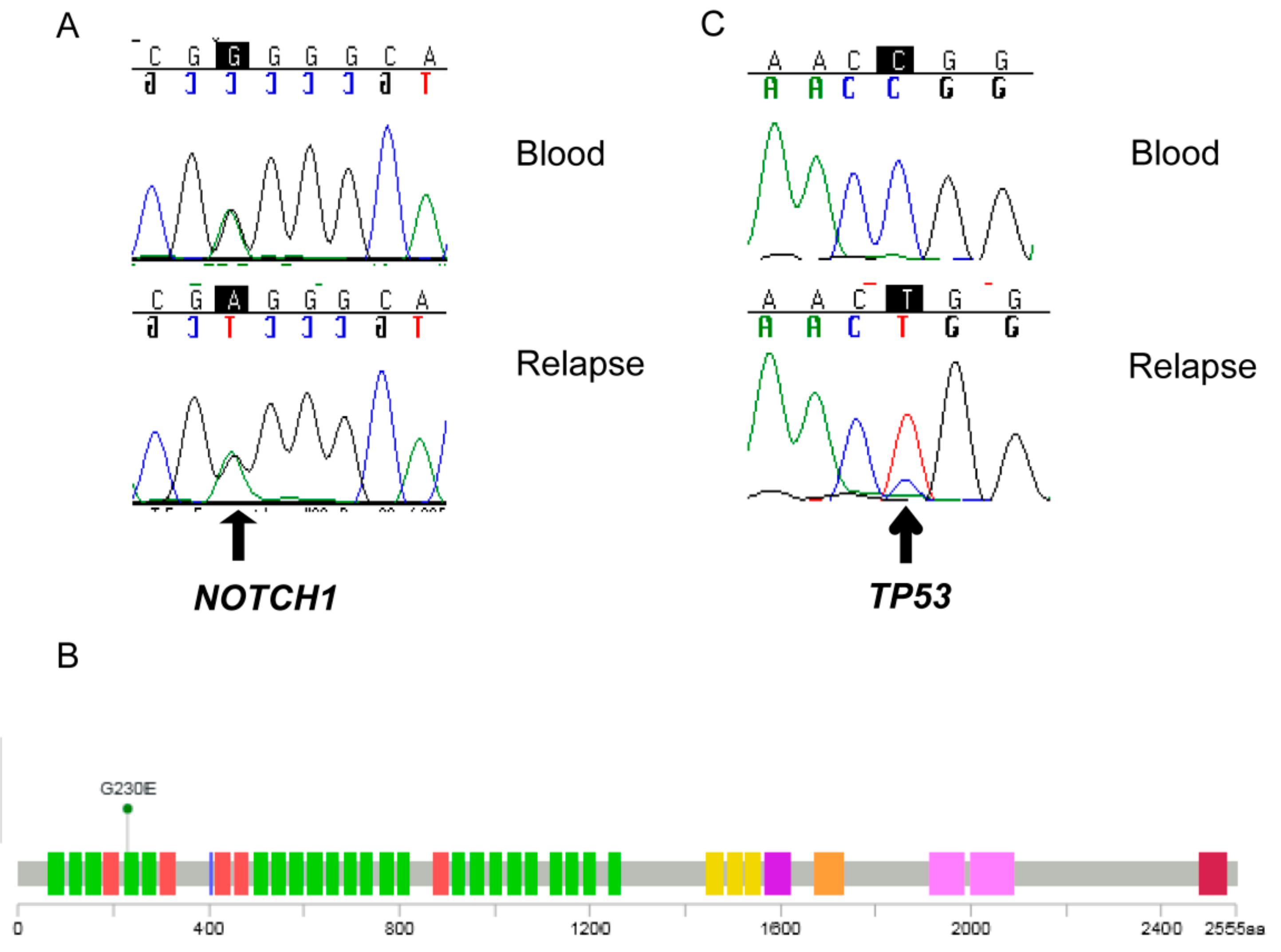 Ijms 20 04267 g004 Ijms 20 04267 g004