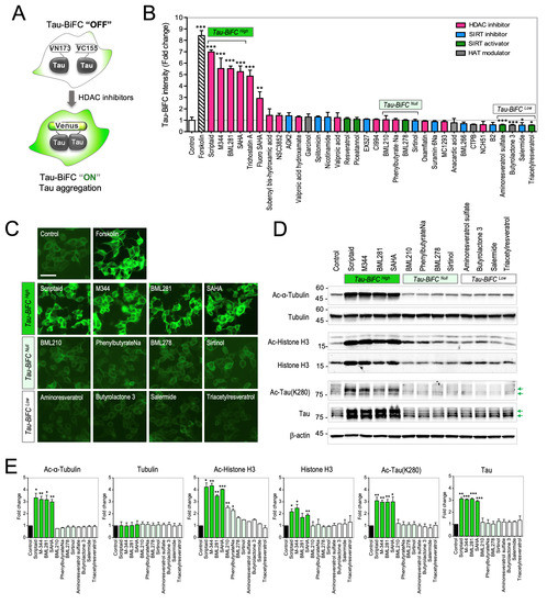 https://www.mdpi.com/ijms/ijms-20-04283/article_deploy/html/images/ijms-20-04283-g001-550.jpg