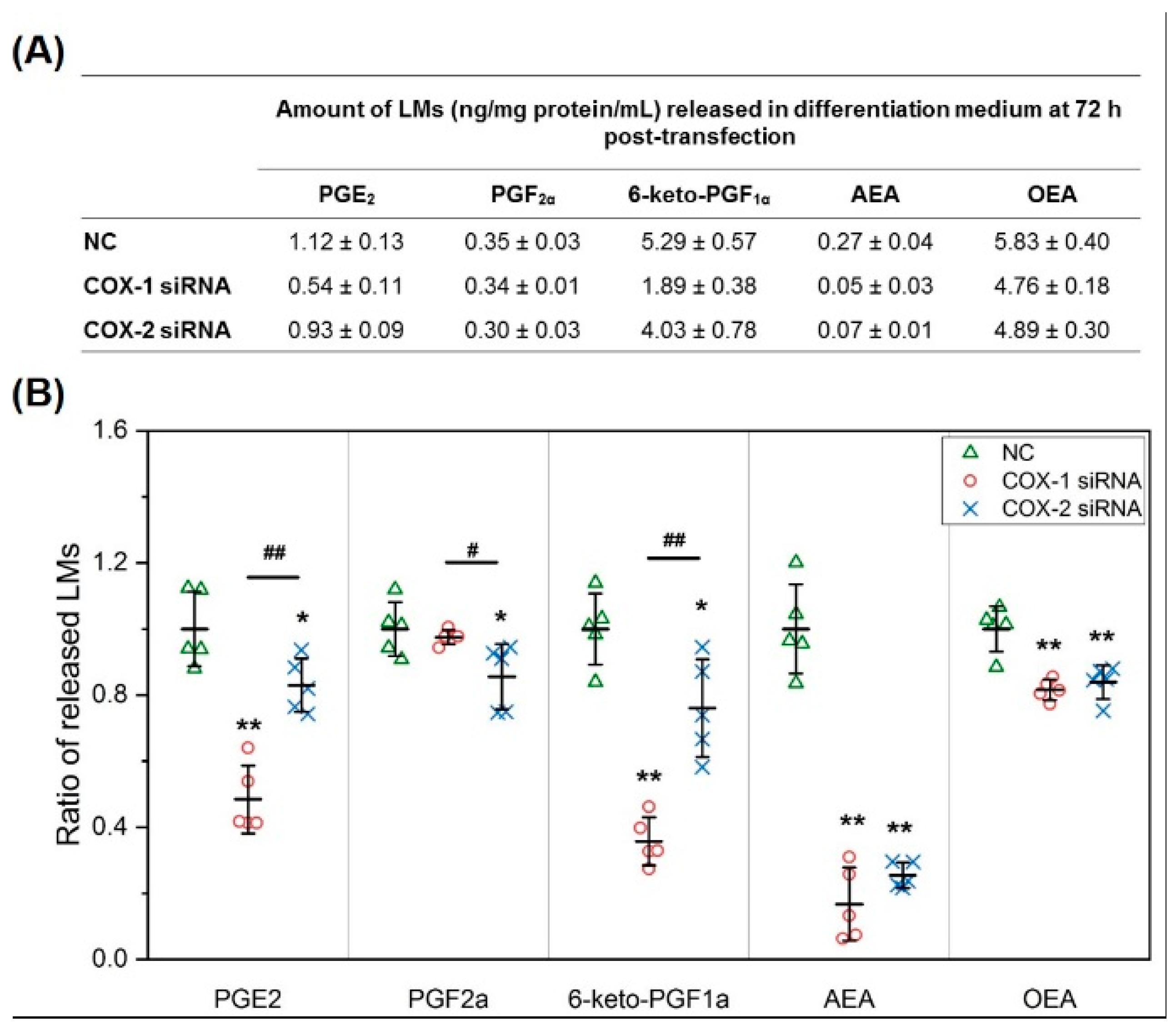 Ijms 20 04326 g005 Ijms 20 04326 g005