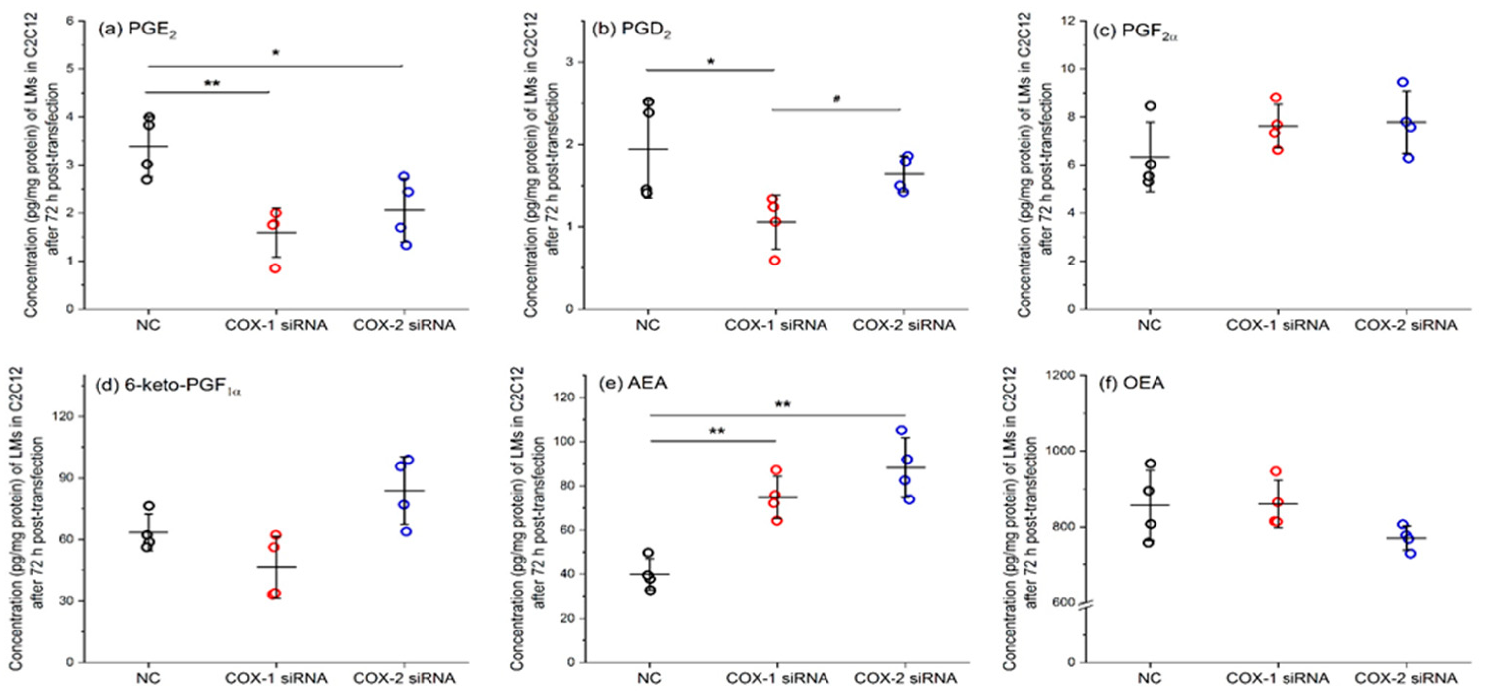 Ijms 20 04326 g006 Ijms 20 04326 g006