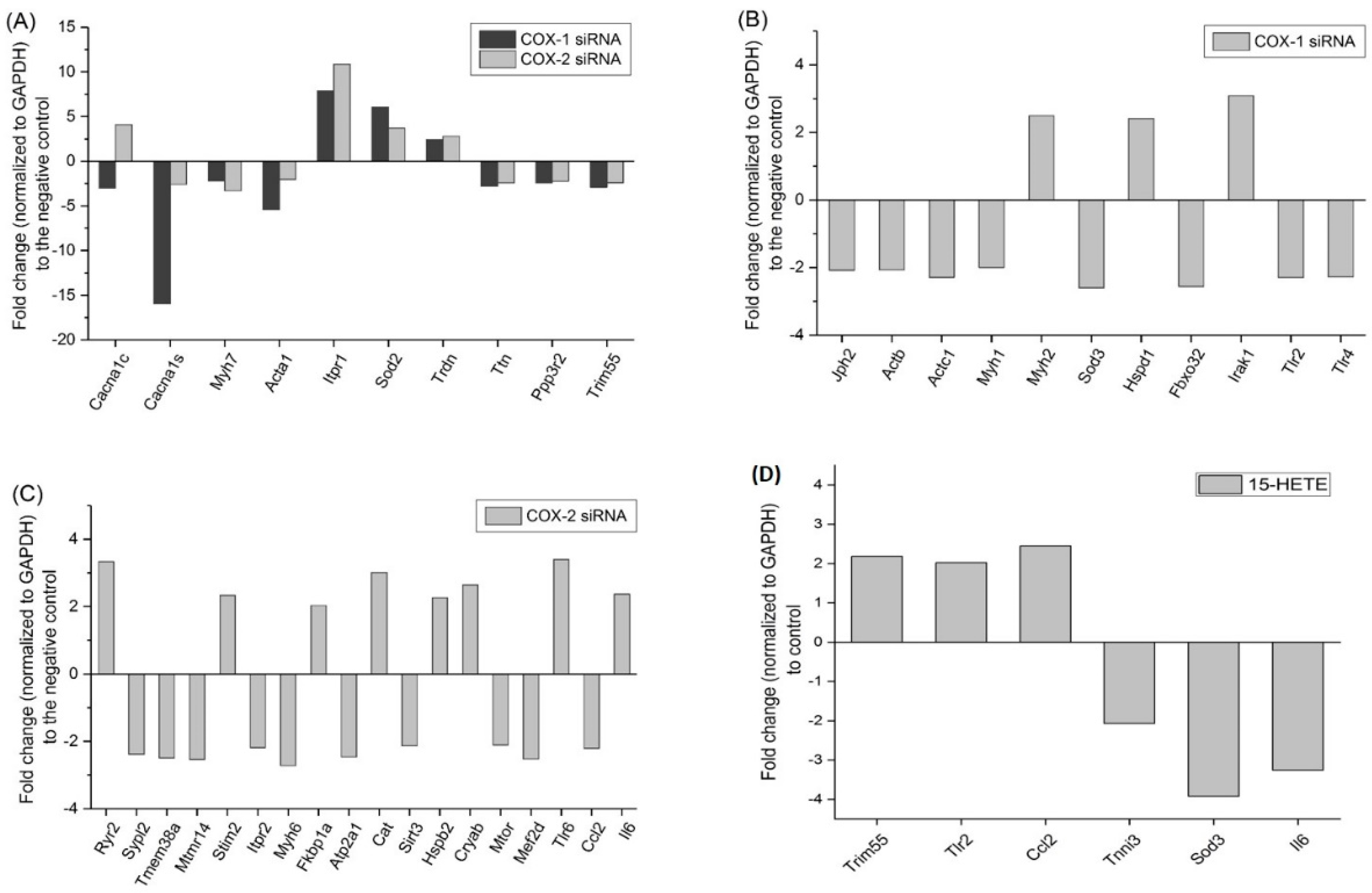 Ijms 20 04326 g007 Ijms 20 04326 g007