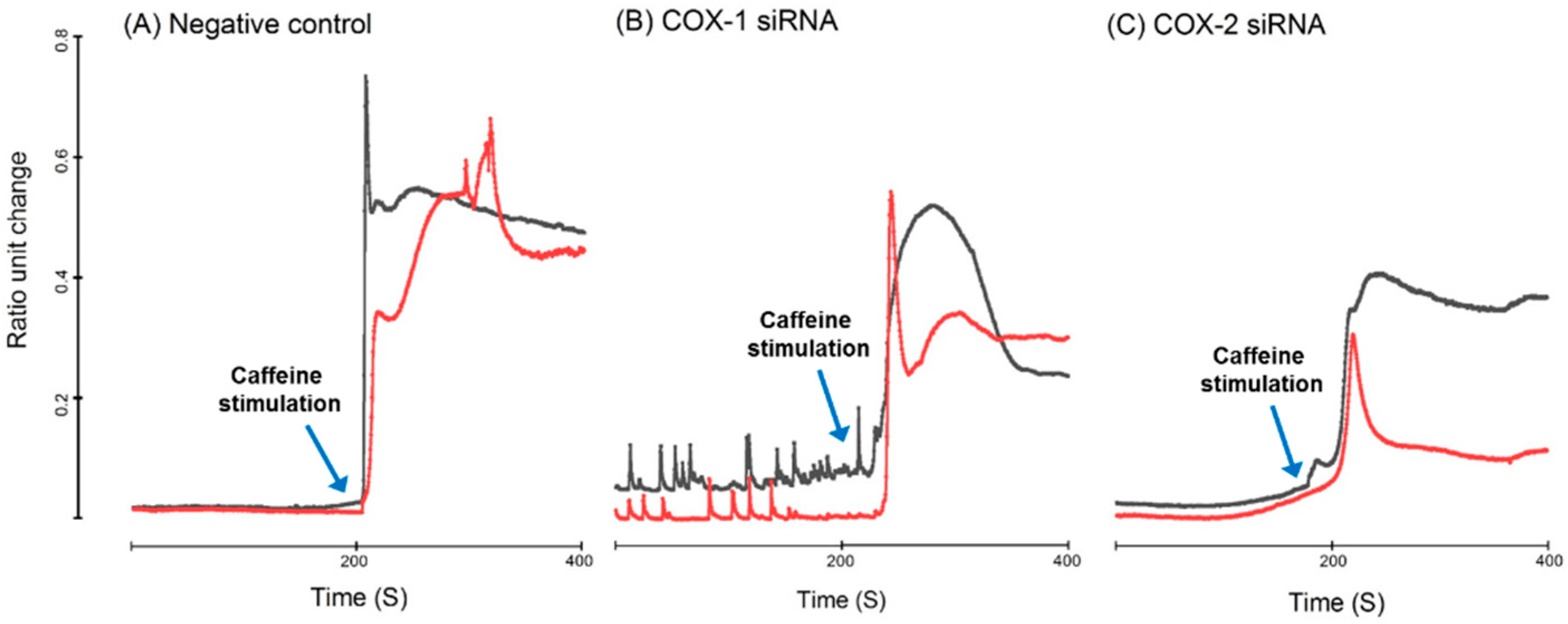 Ijms 20 04326 g008 Ijms 20 04326 g008