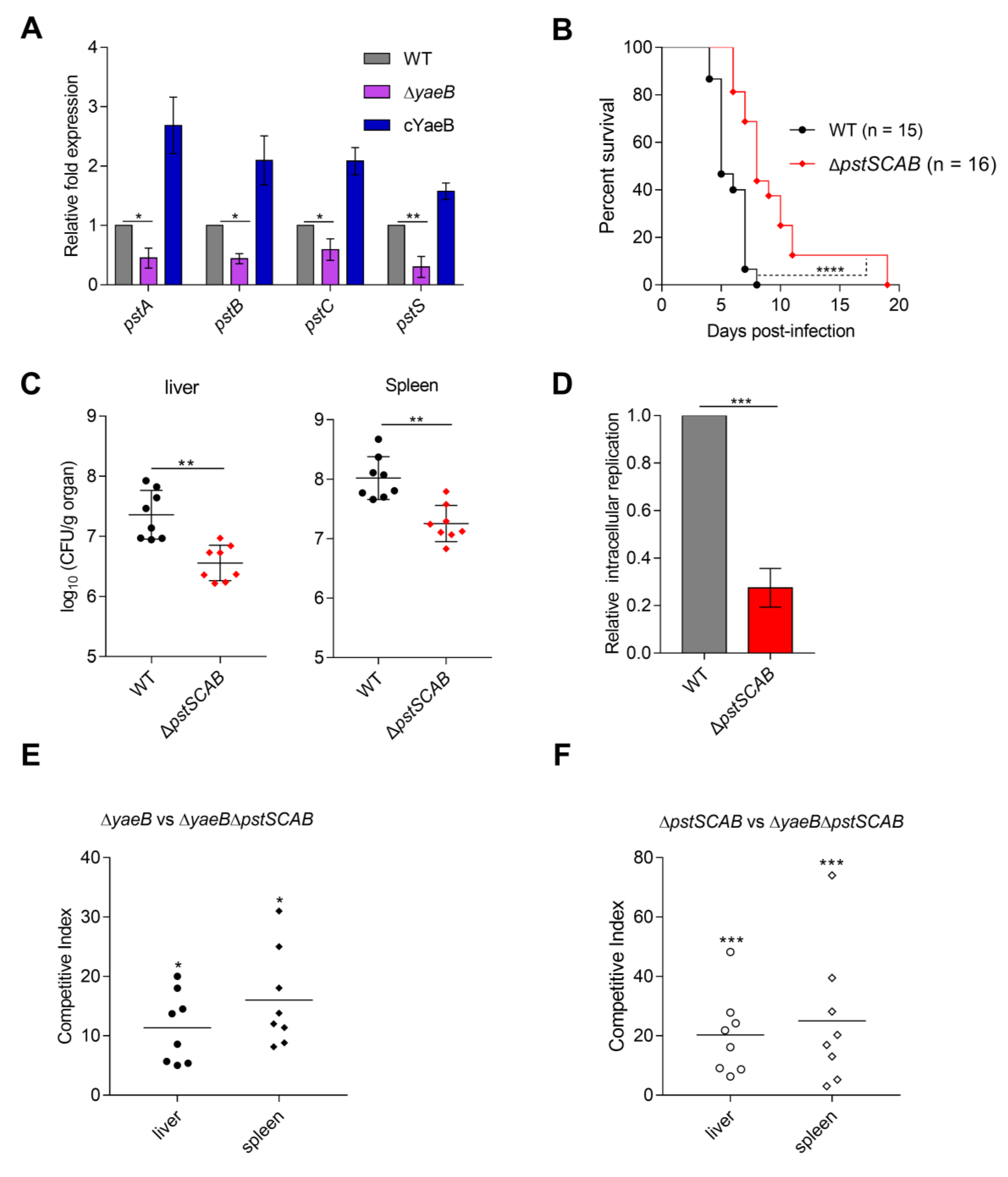 Ijms 20 04339 g003 Ijms 20 04339 g003