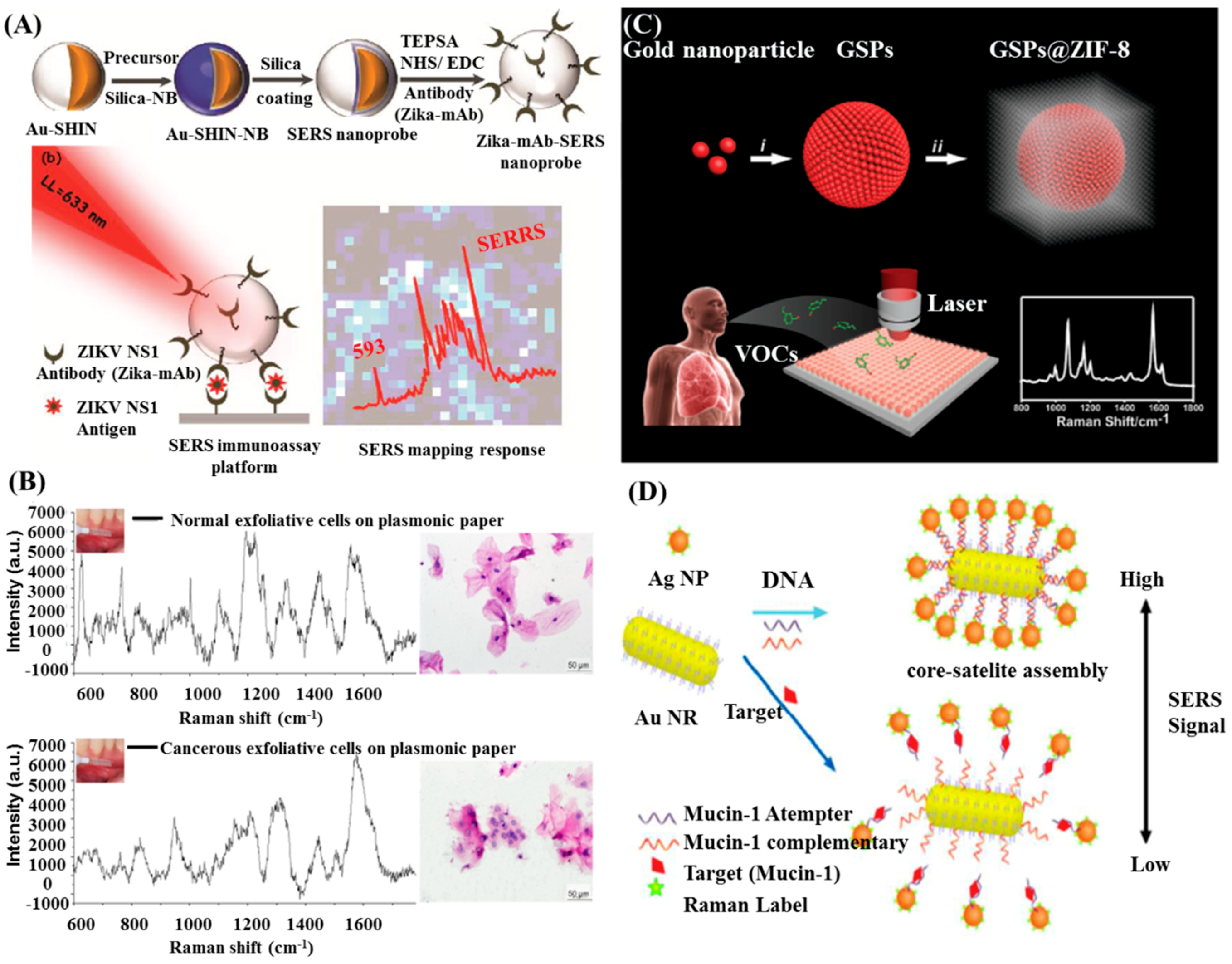Ijms 20 04346 g004 Ijms 20 04346 g004
