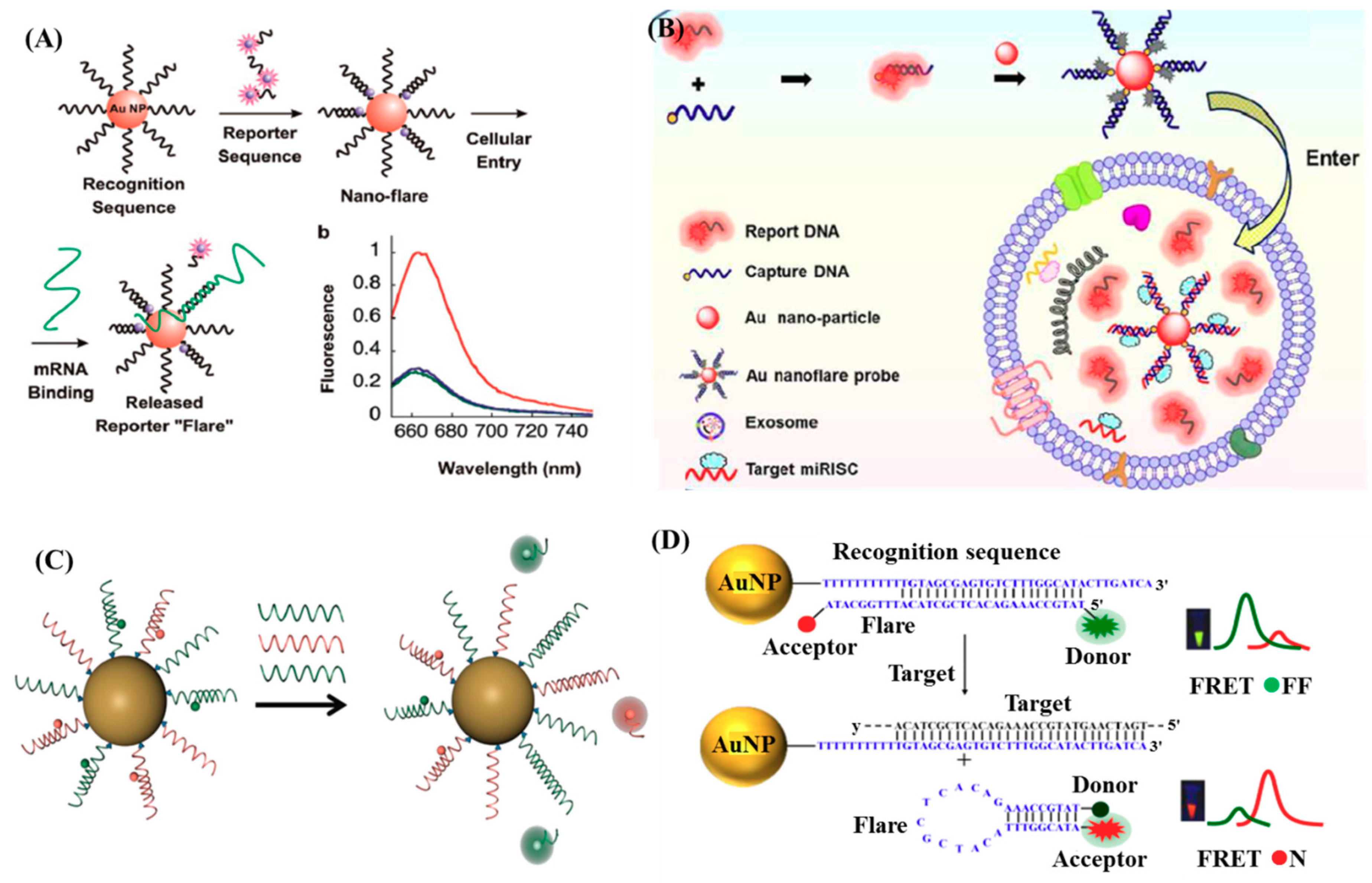 Ijms 20 04346 g006 Ijms 20 04346 g006