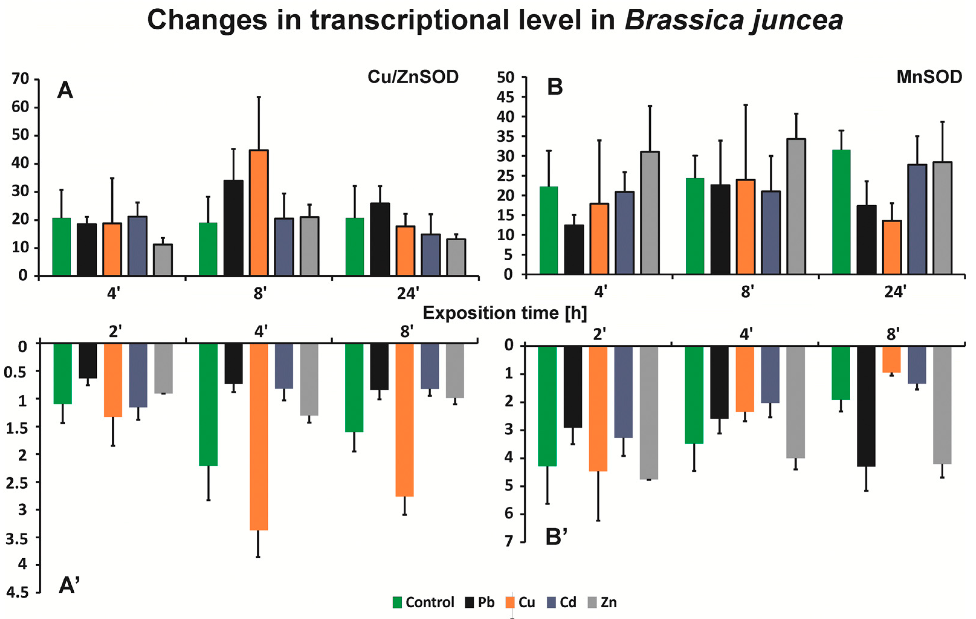 Ijms 20 04355 g006 Ijms 20 04355 g006