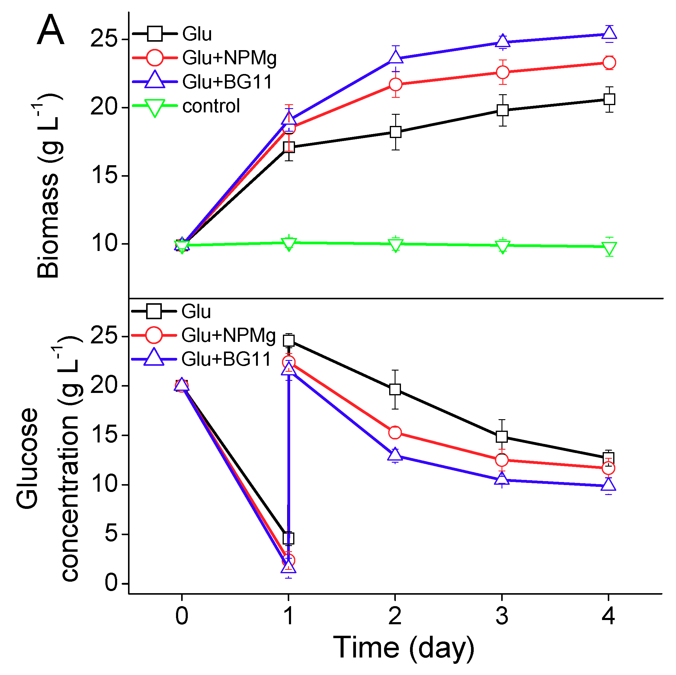 Ijms 20 04356 g002a Ijms 20 04356 g002a