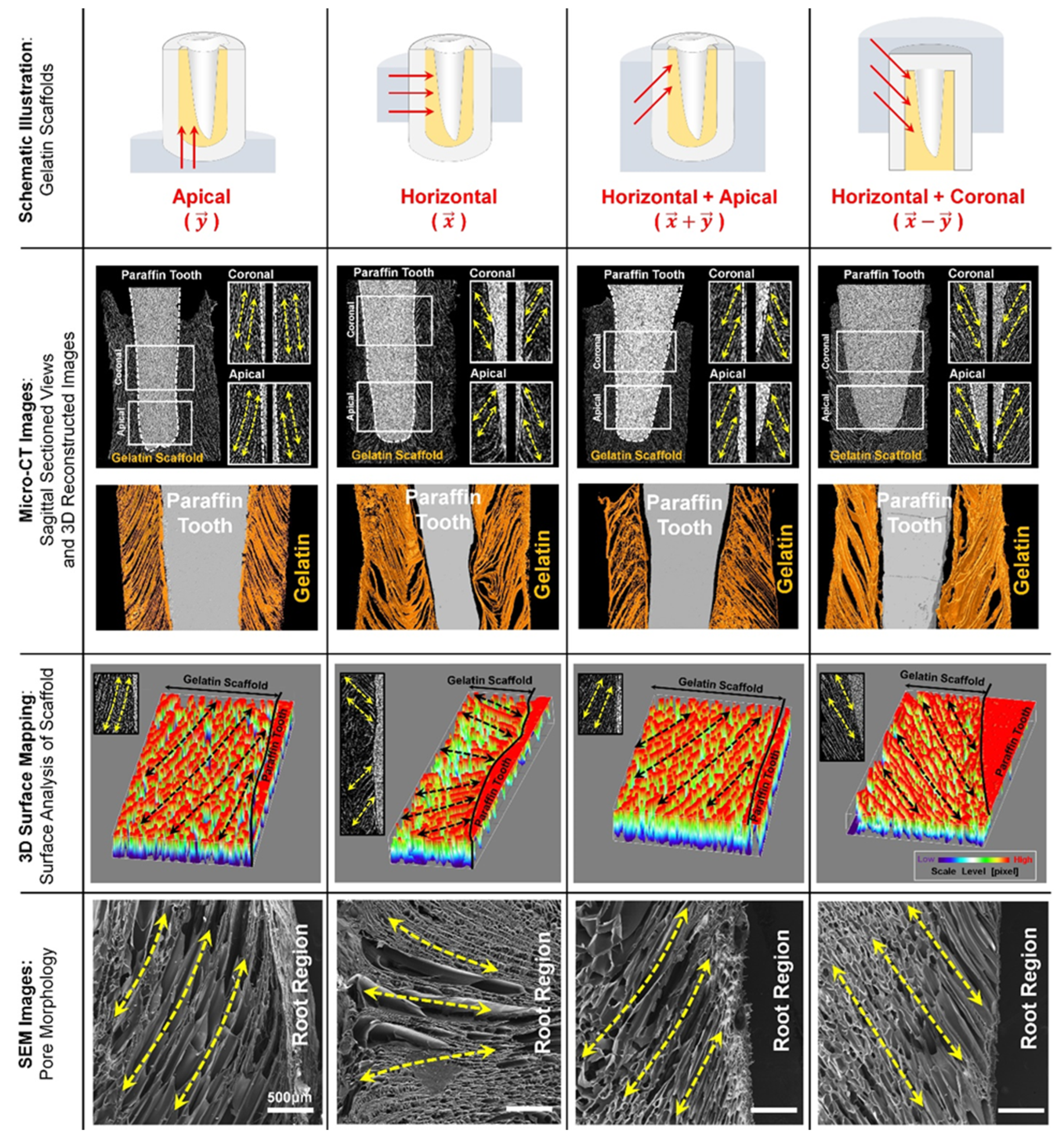 Ijms 20 04364 g002 Ijms 20 04364 g002