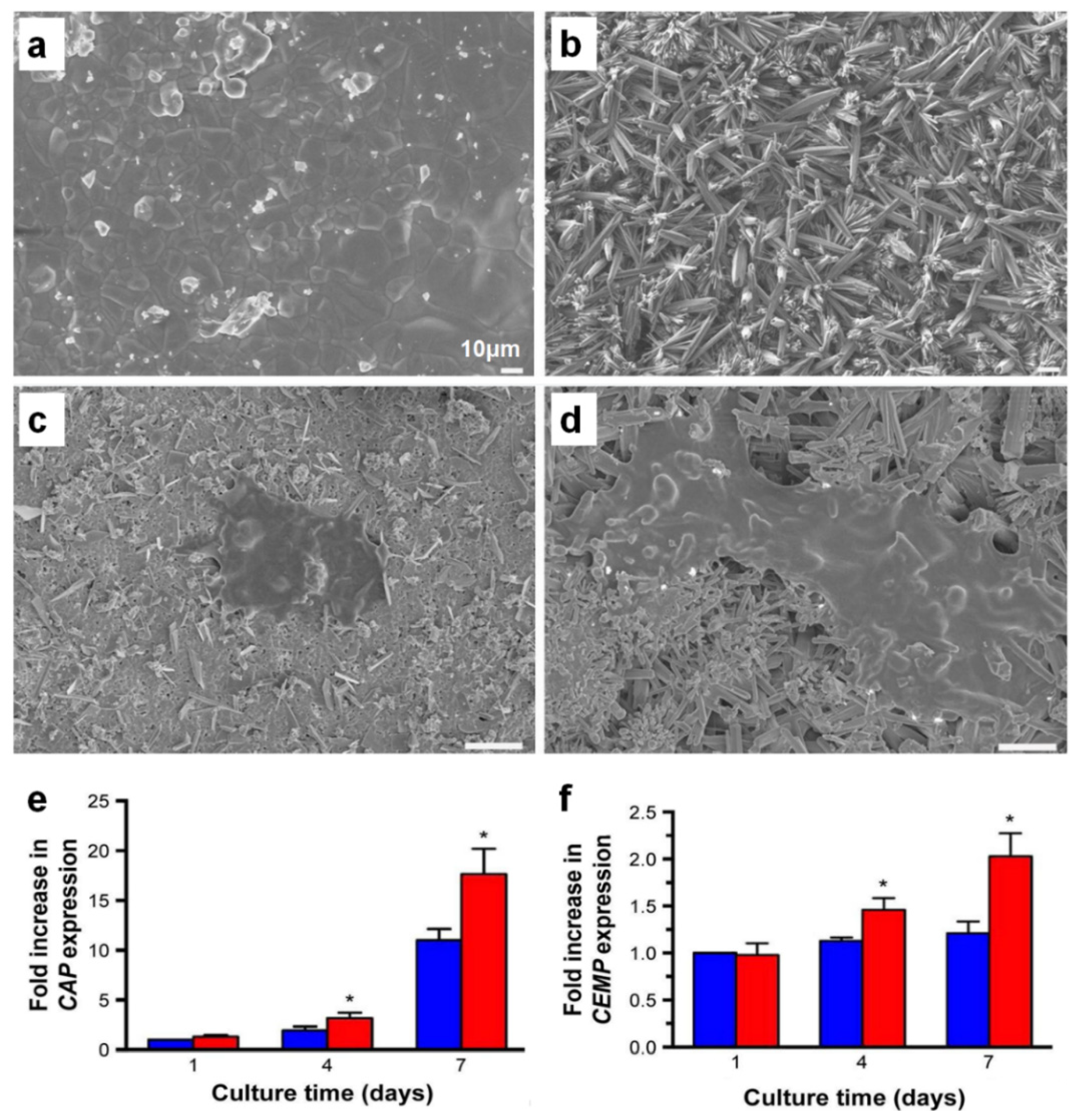 Ijms 20 04364 g007 Ijms 20 04364 g007