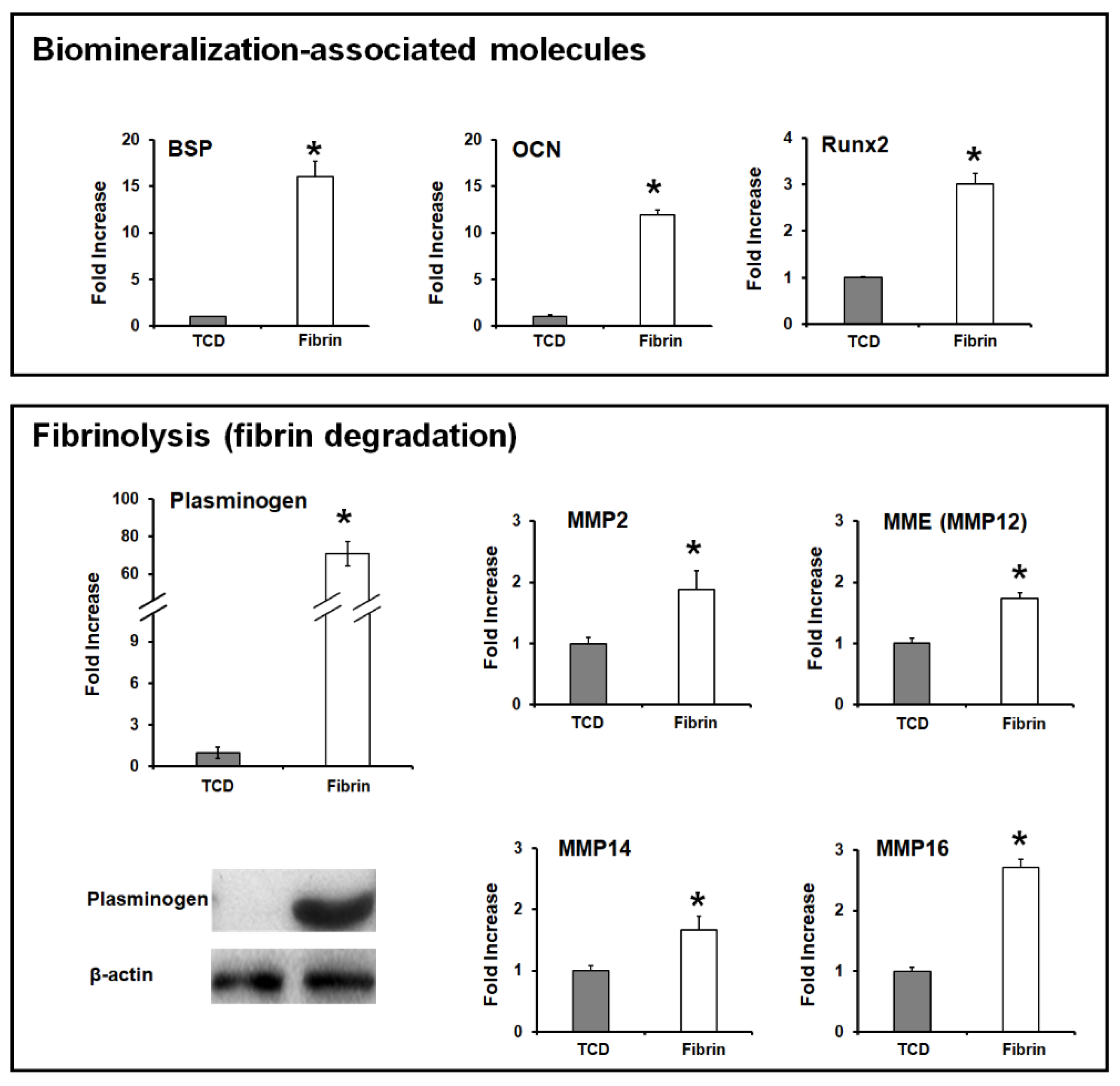 Ijms 20 04364 g008 Ijms 20 04364 g008