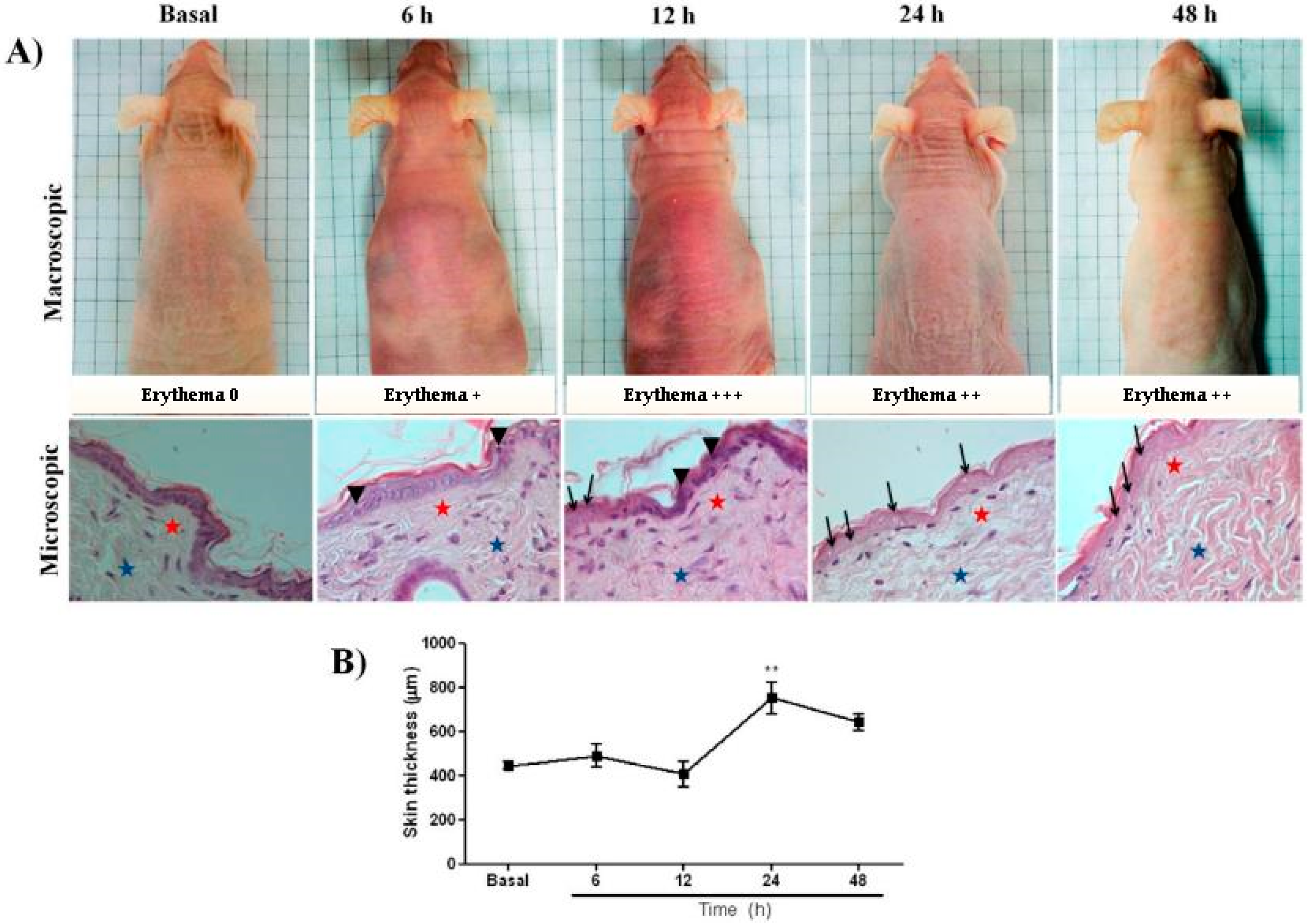 Ijms 20 04373 g001 Ijms 20 04373 g001