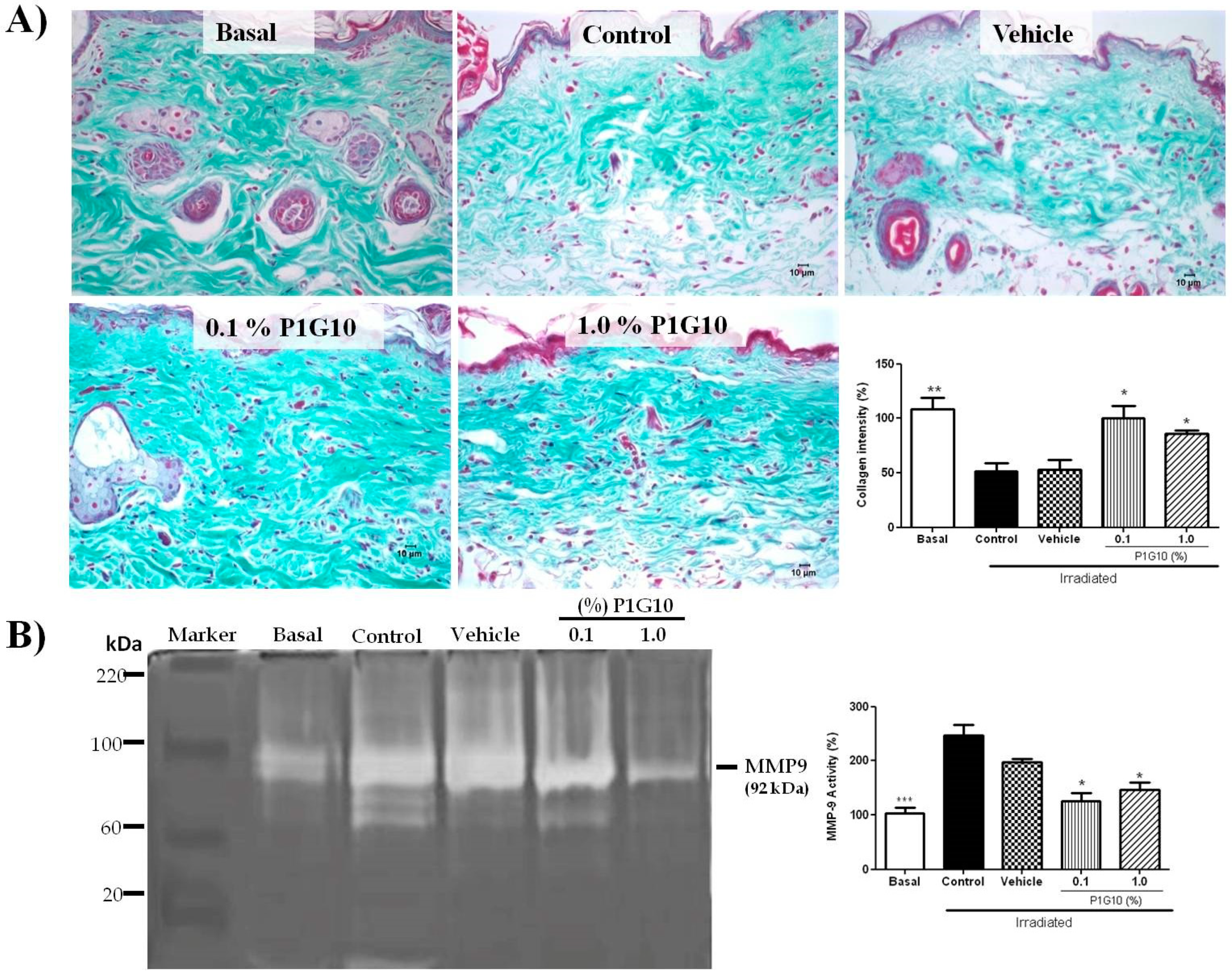 Ijms 20 04373 g007 Ijms 20 04373 g007