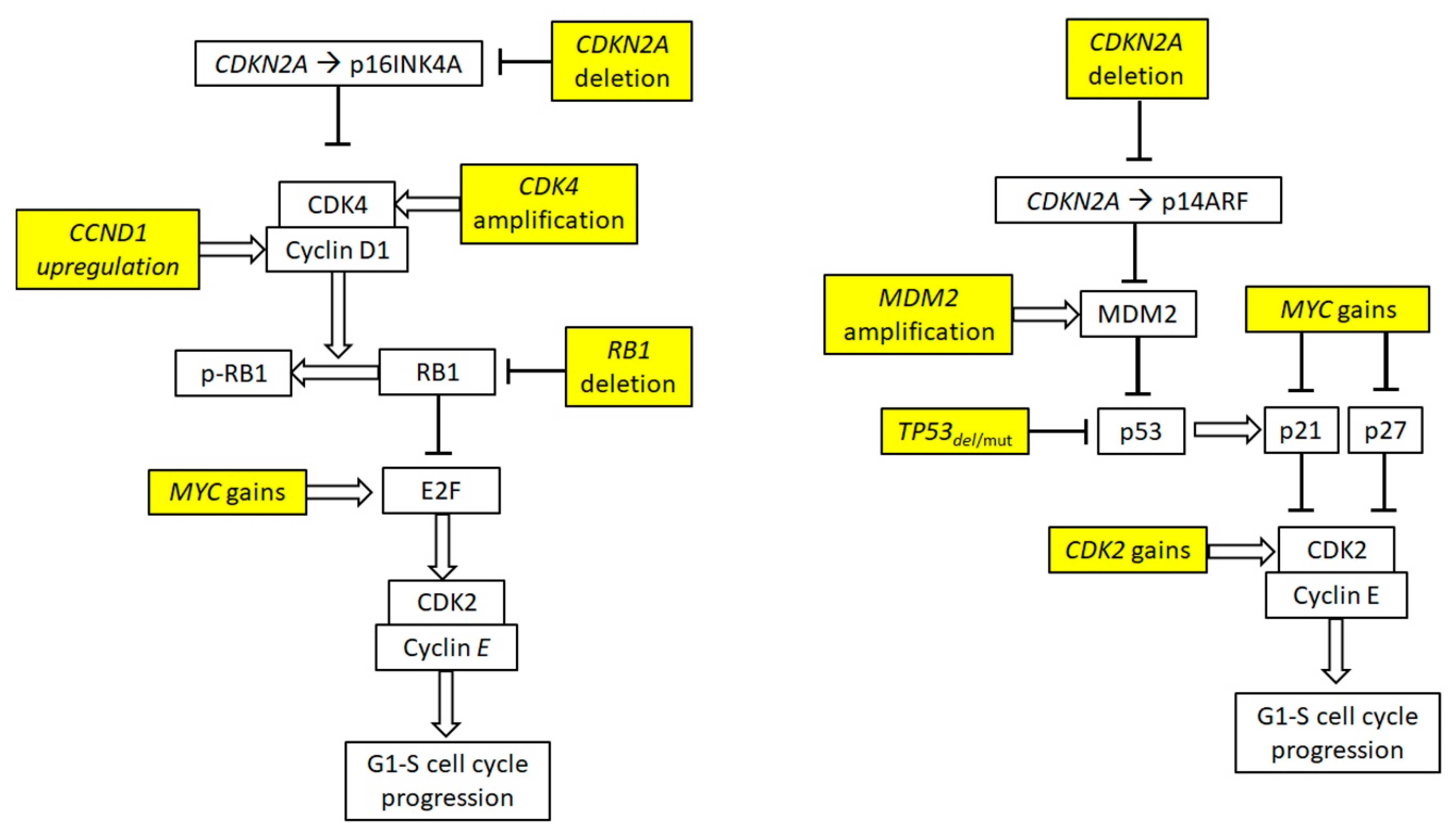 Ijms Free Full Text Advances In Molecular Biology And Targeted