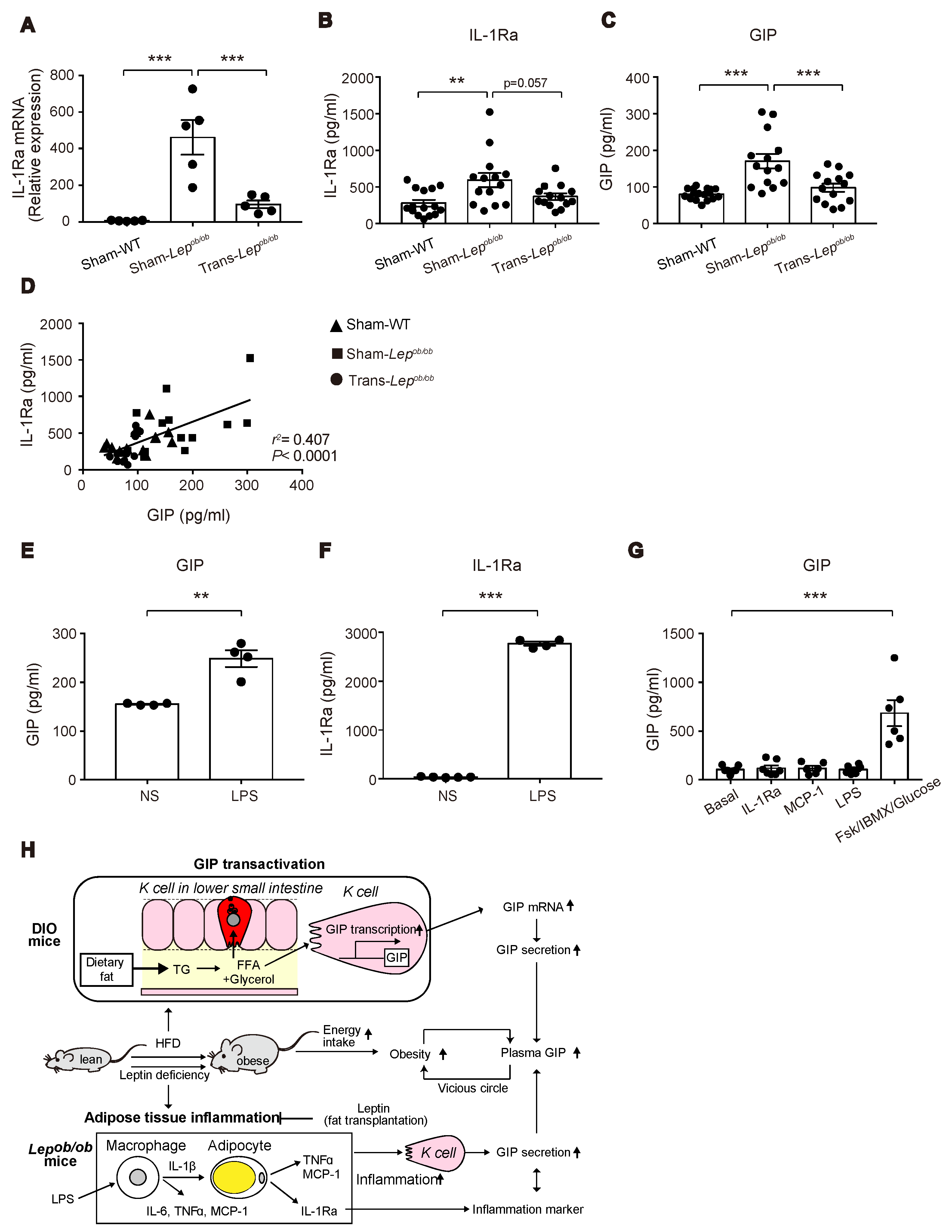 Ijms 20 04448 g008 Ijms 20 04448 g008