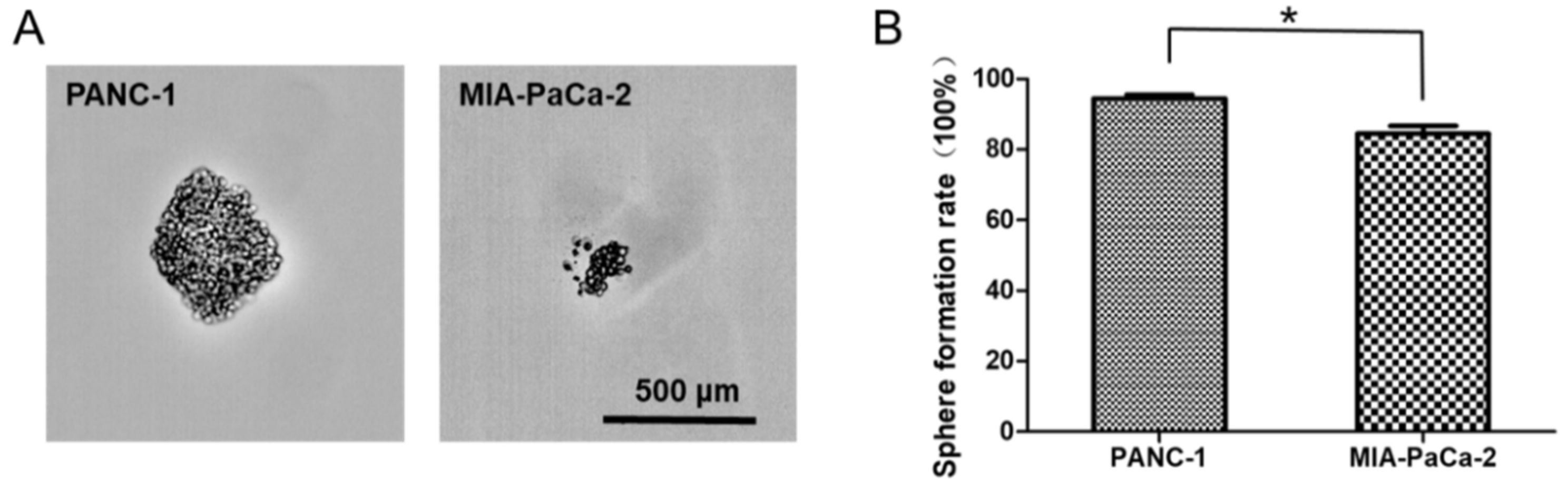 IJMS | Free Full-Text | Differentially Expressed microRNAs in MIA PaCa-2  and PANC-1 Pancreas Ductal Adenocarcinoma Cell Lines are Involved in Cancer  Stem Cell Regulation | HTML