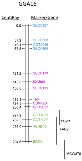 Rh negative blood type reptilians