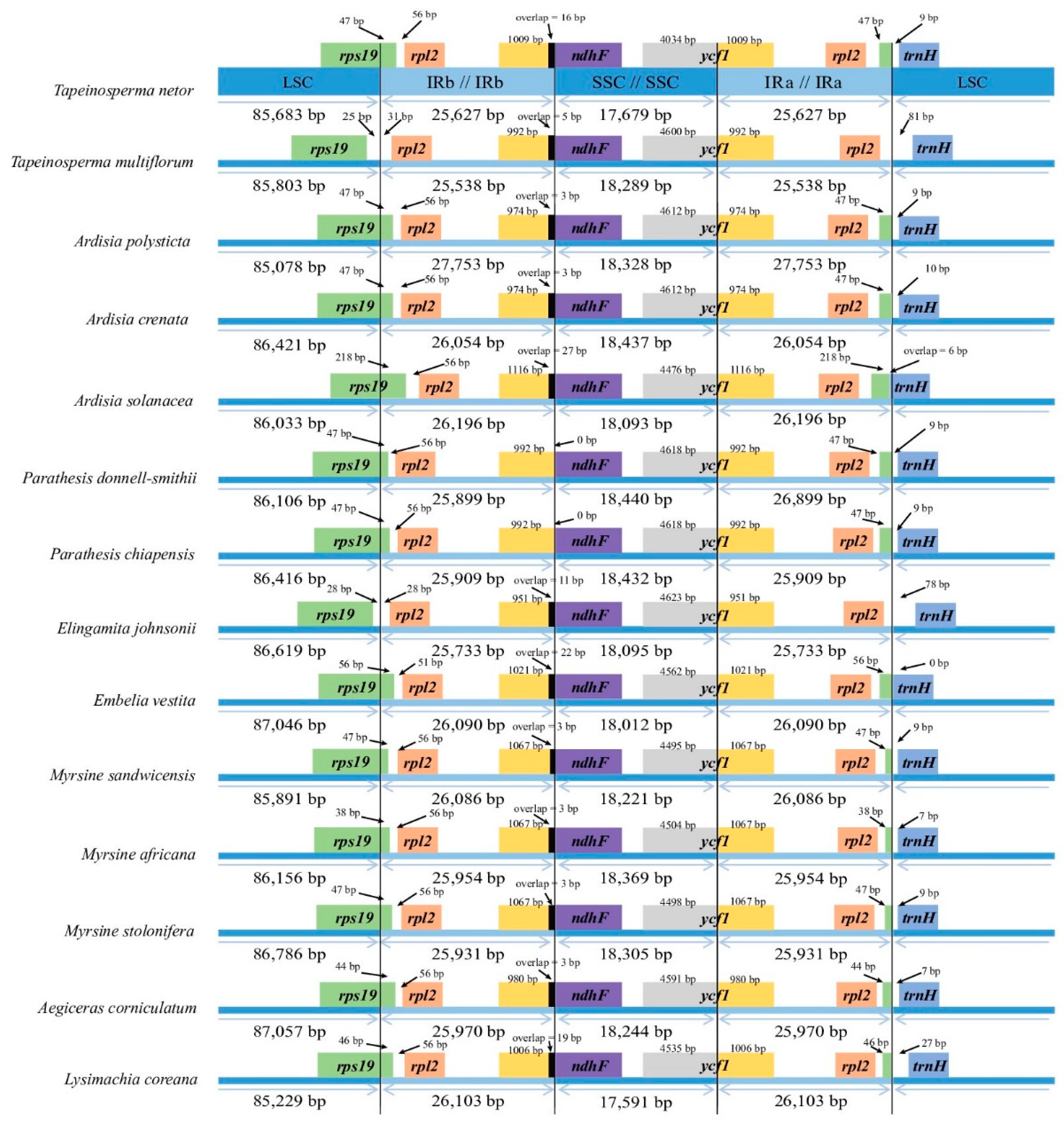 Ijms 20 04534 g002 Ijms 20 04534 g002