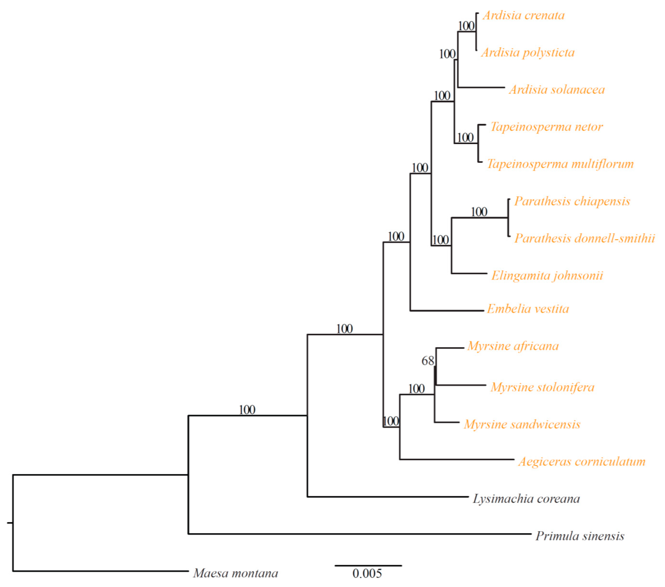 Ijms 20 04534 g003 Ijms 20 04534 g003
