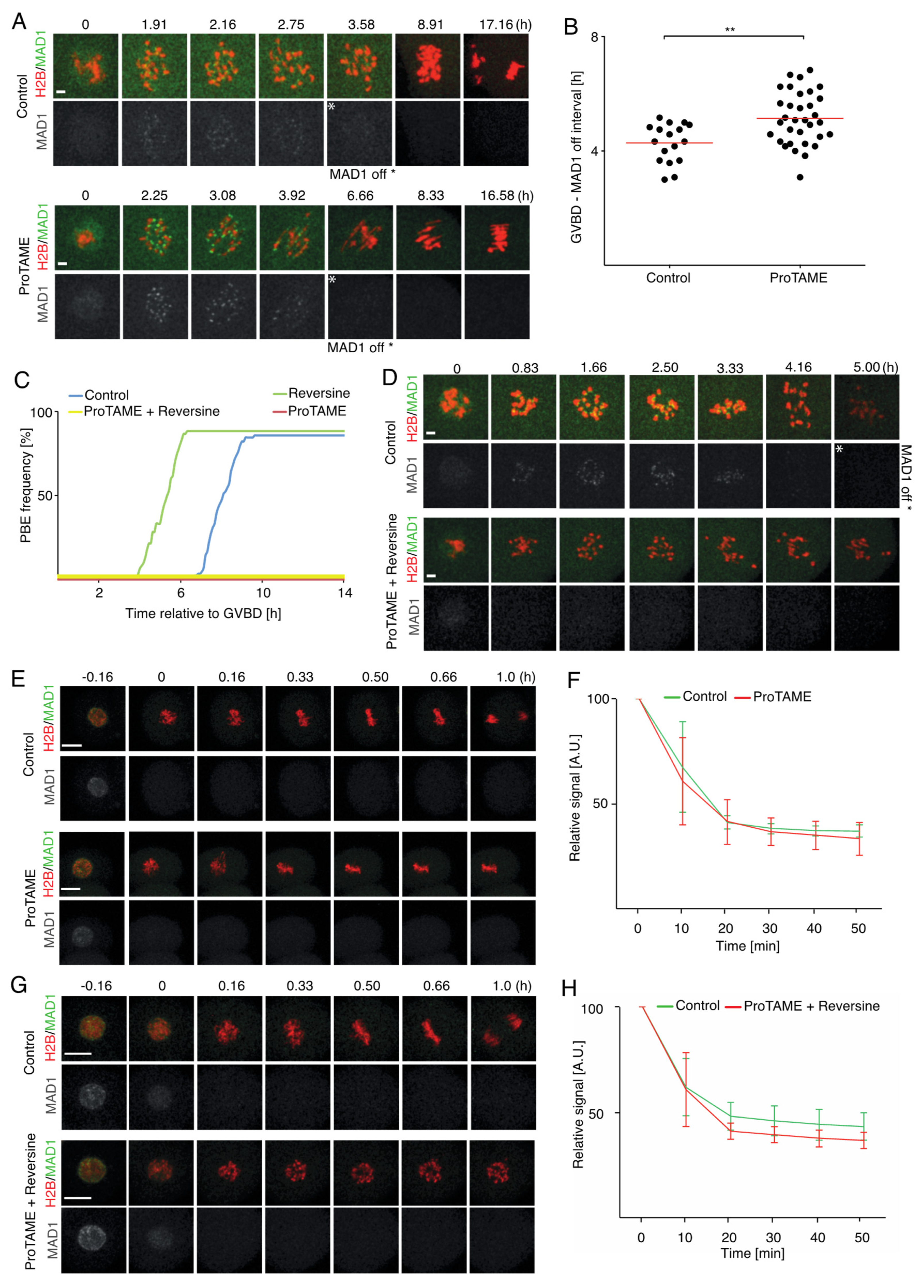 Ijms 20 04537 g007 Ijms 20 04537 g007